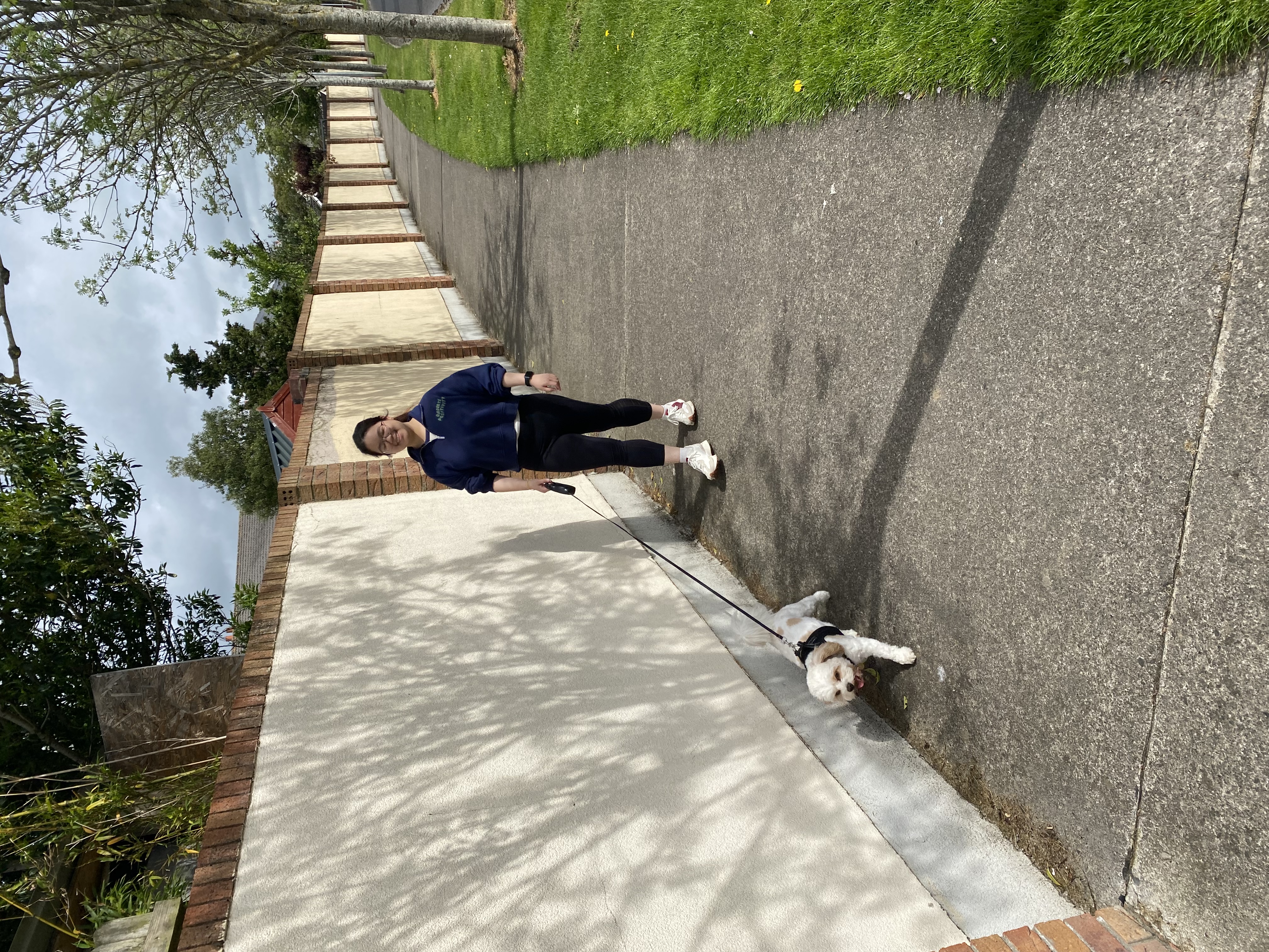 image-14