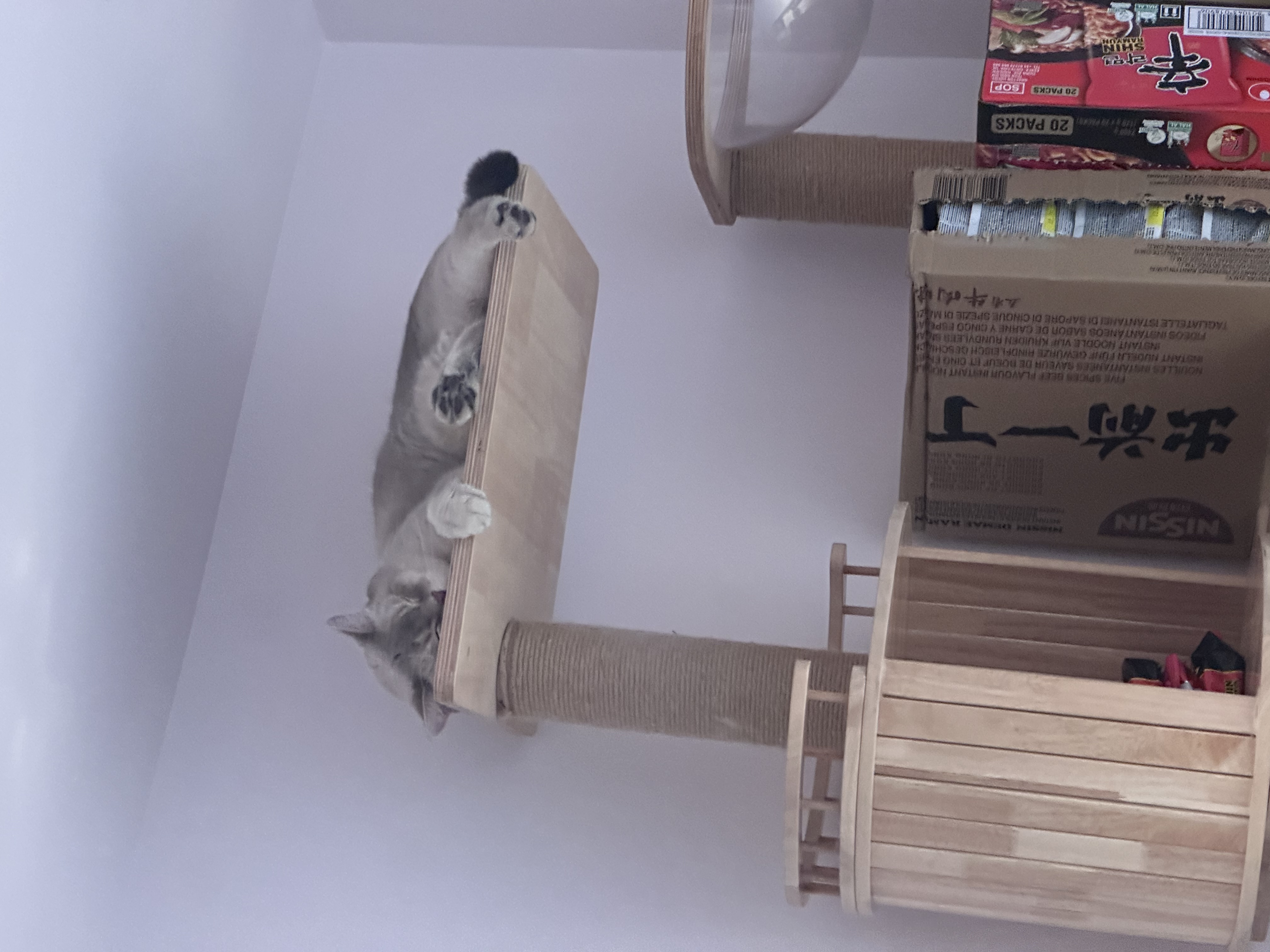image-13