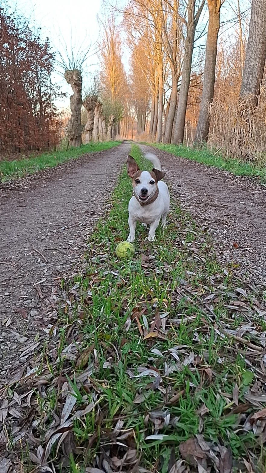 image-8