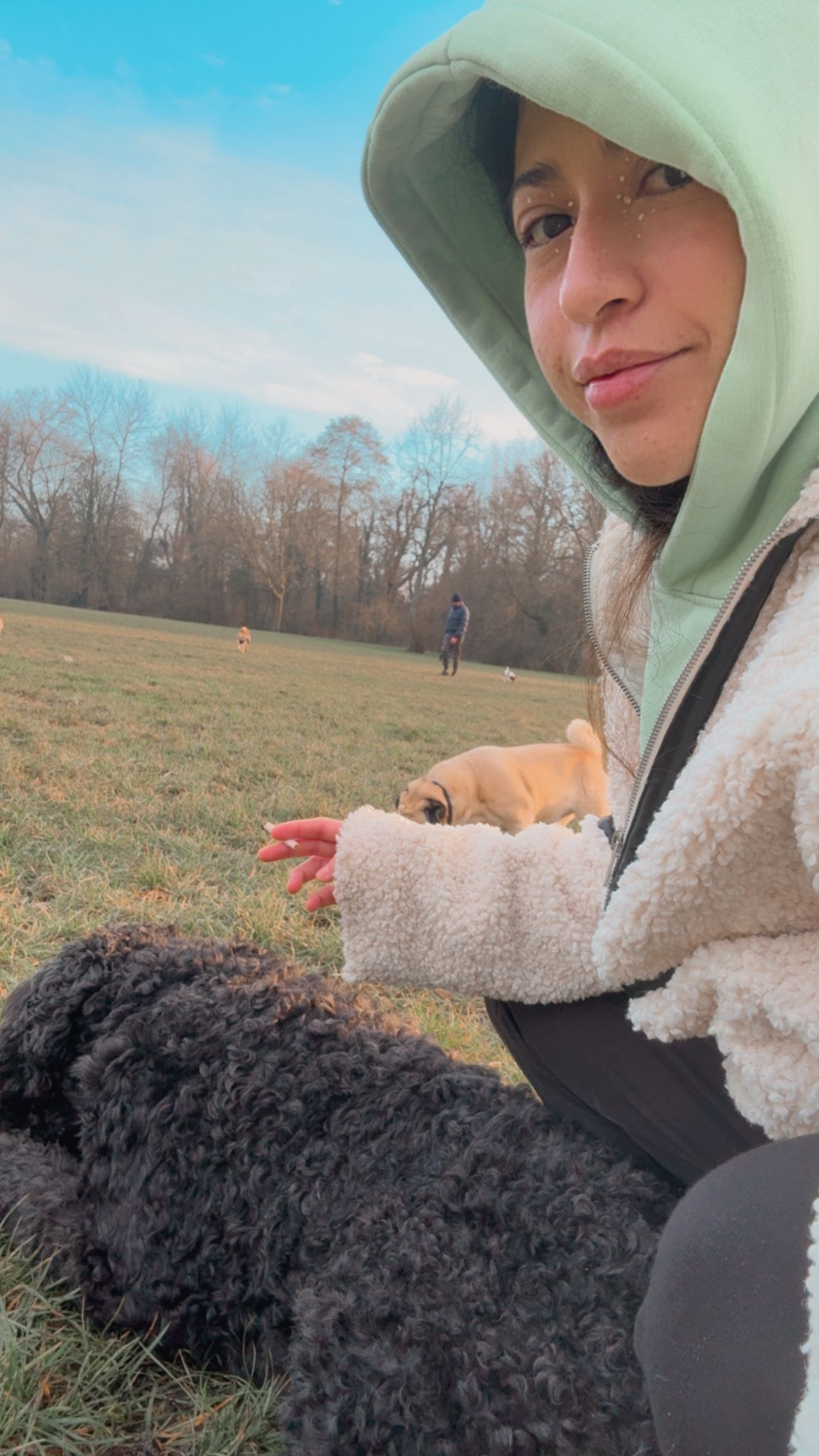 image-14