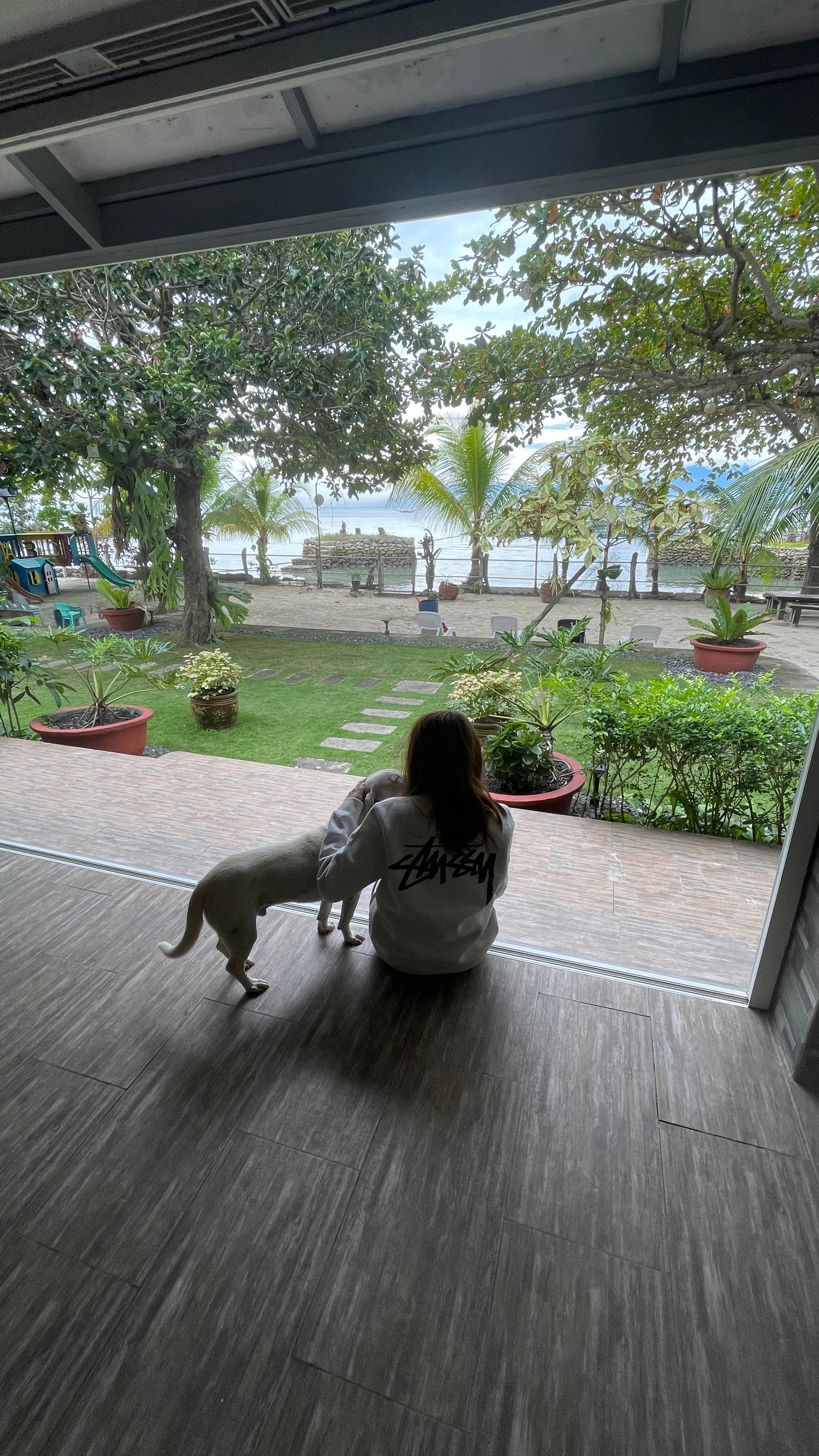 image-5