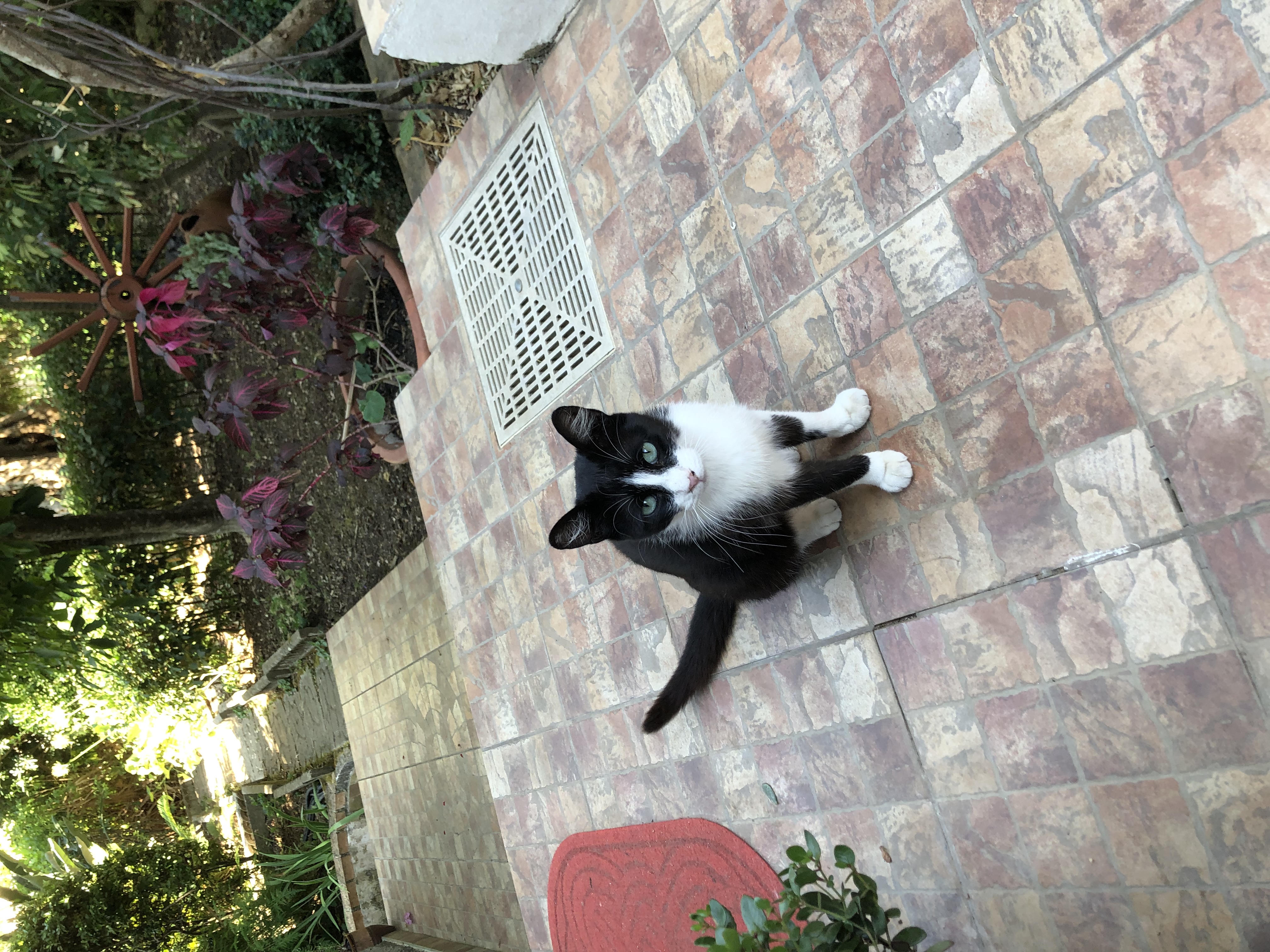image-8