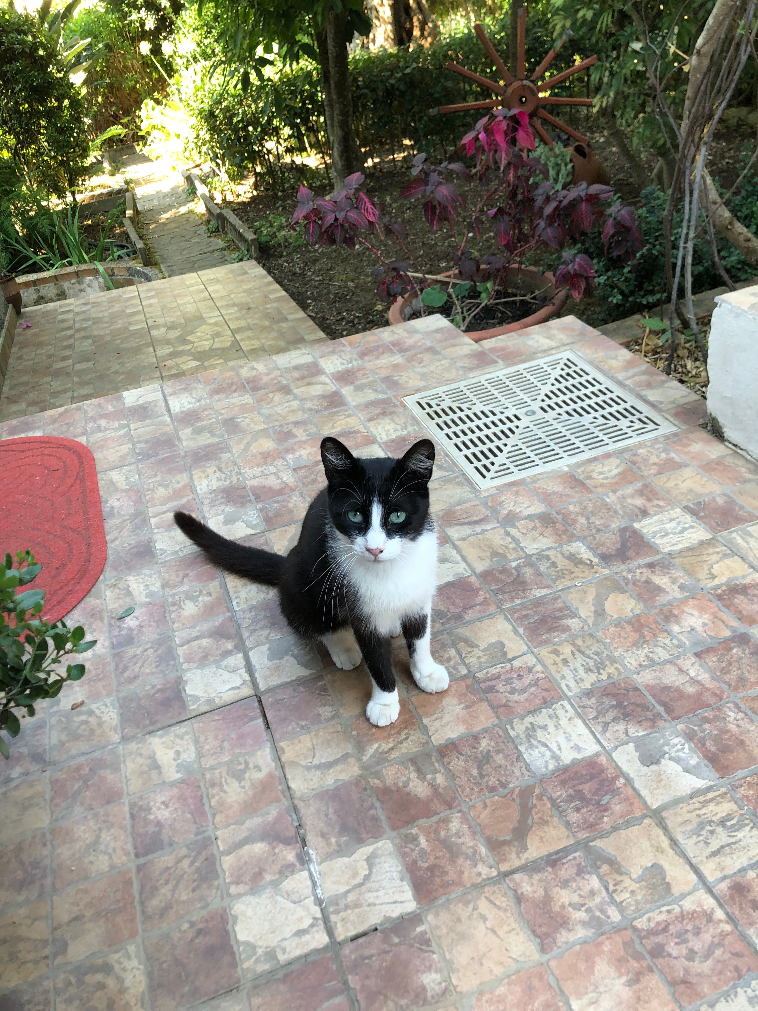 image-8