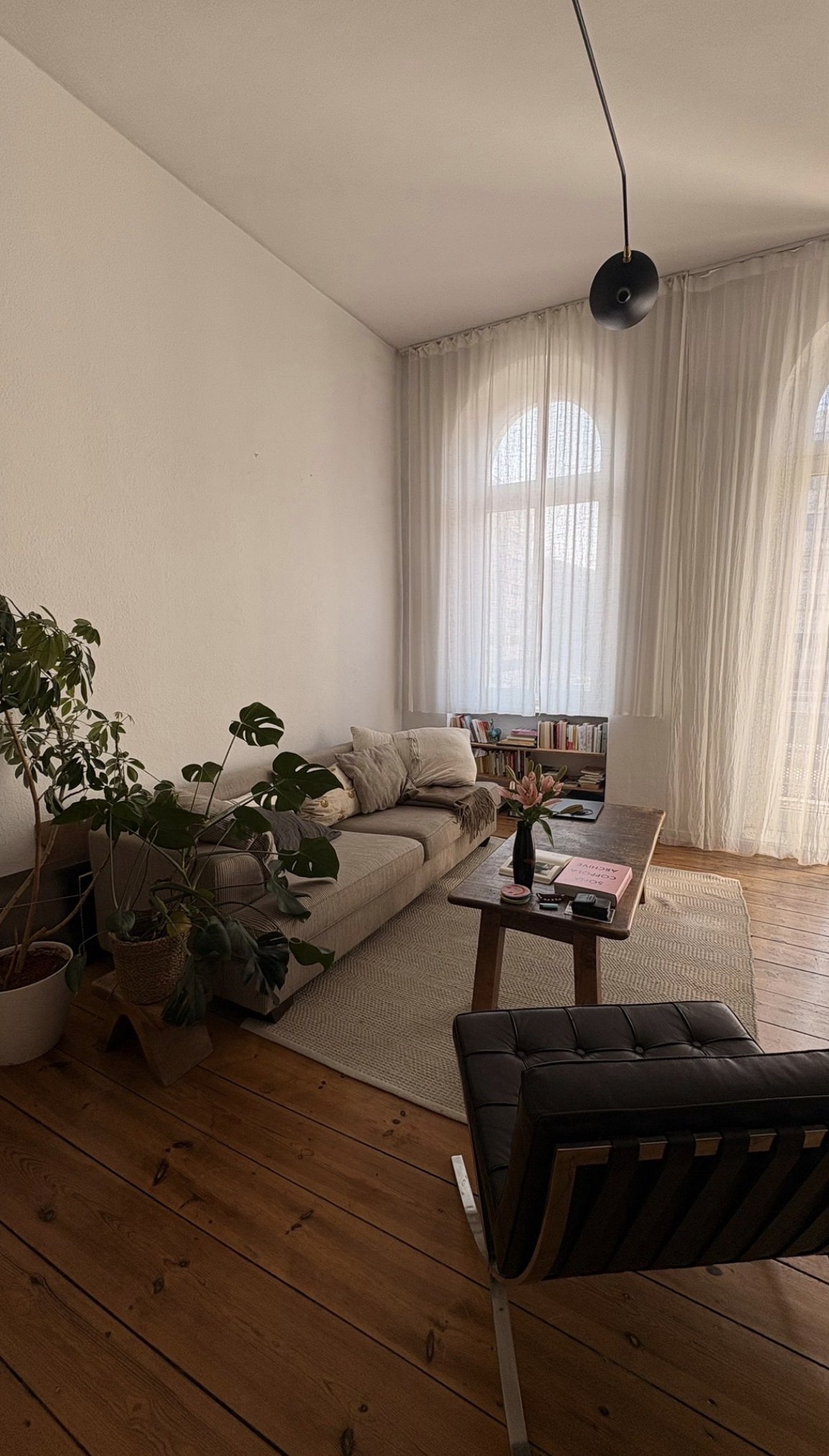 image-19