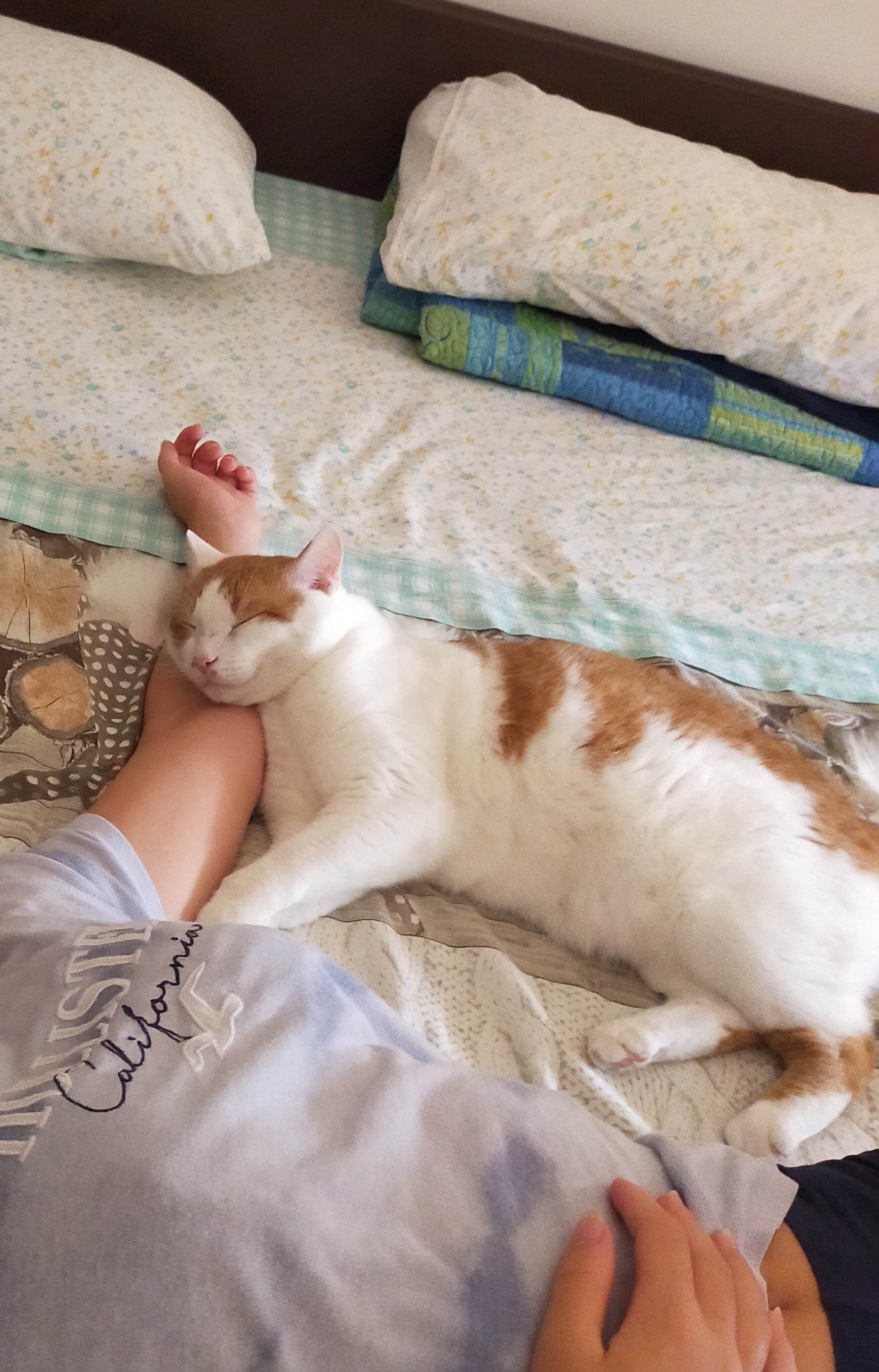 image-8