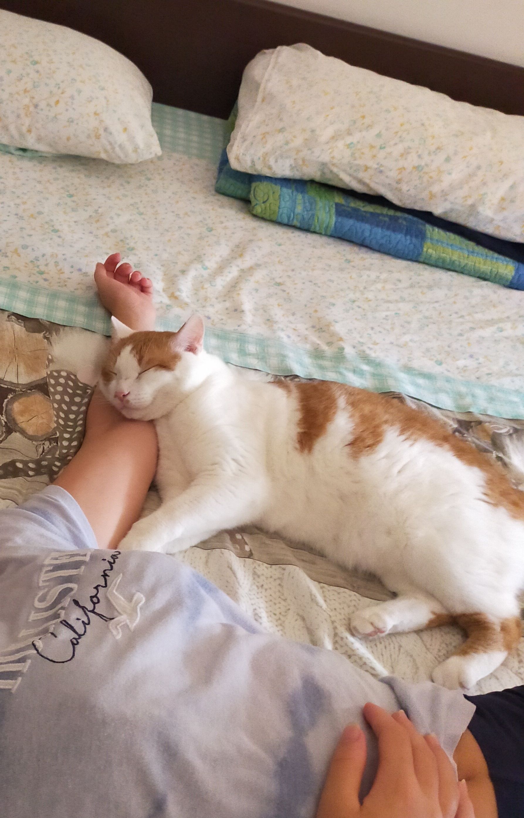 image-8