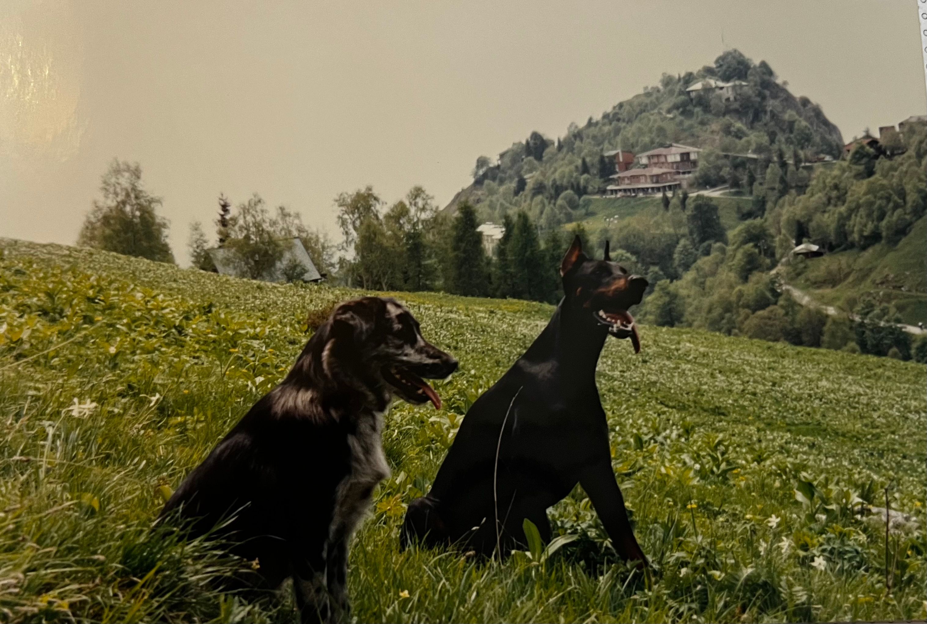 image-14