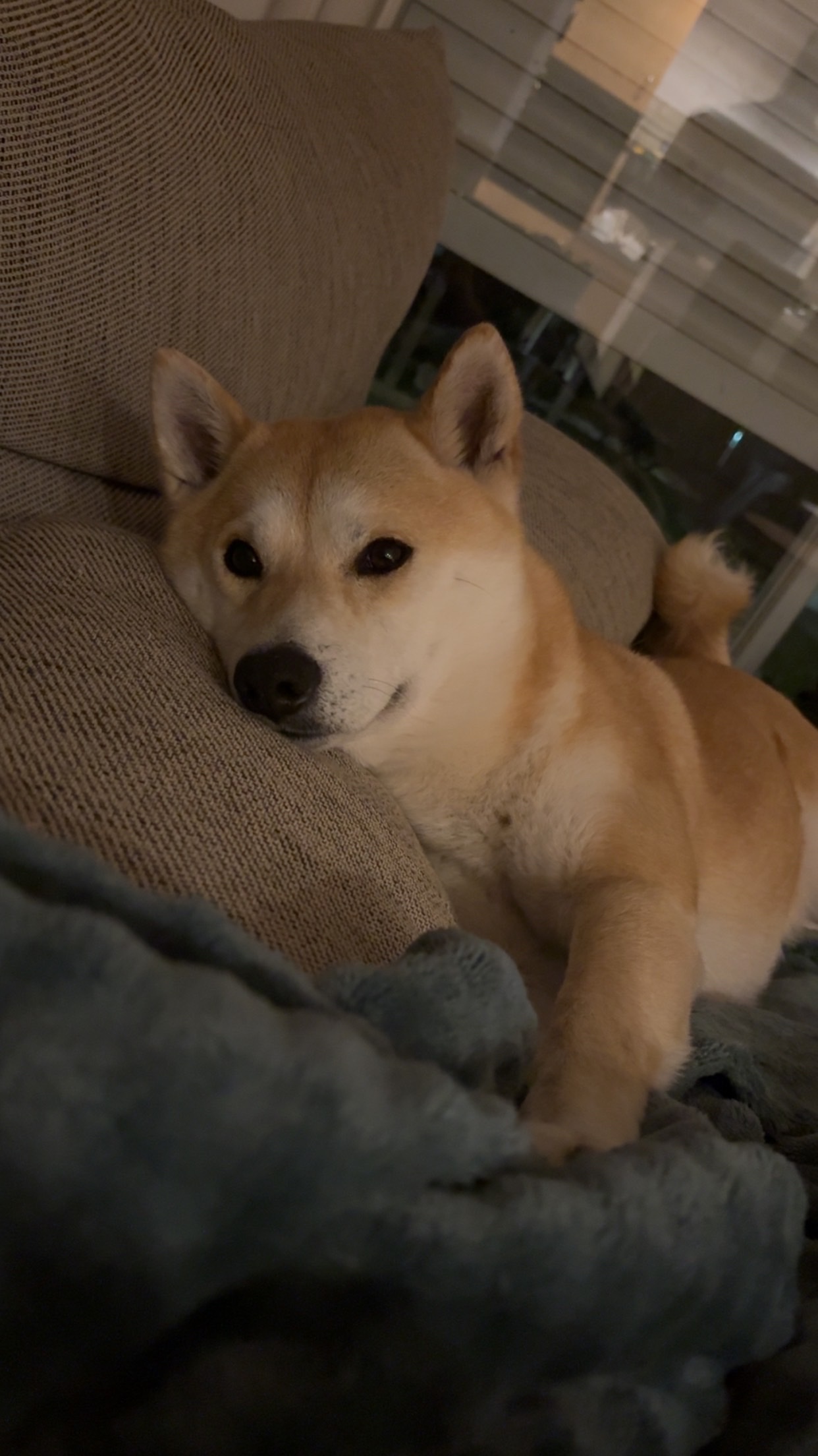 image-8