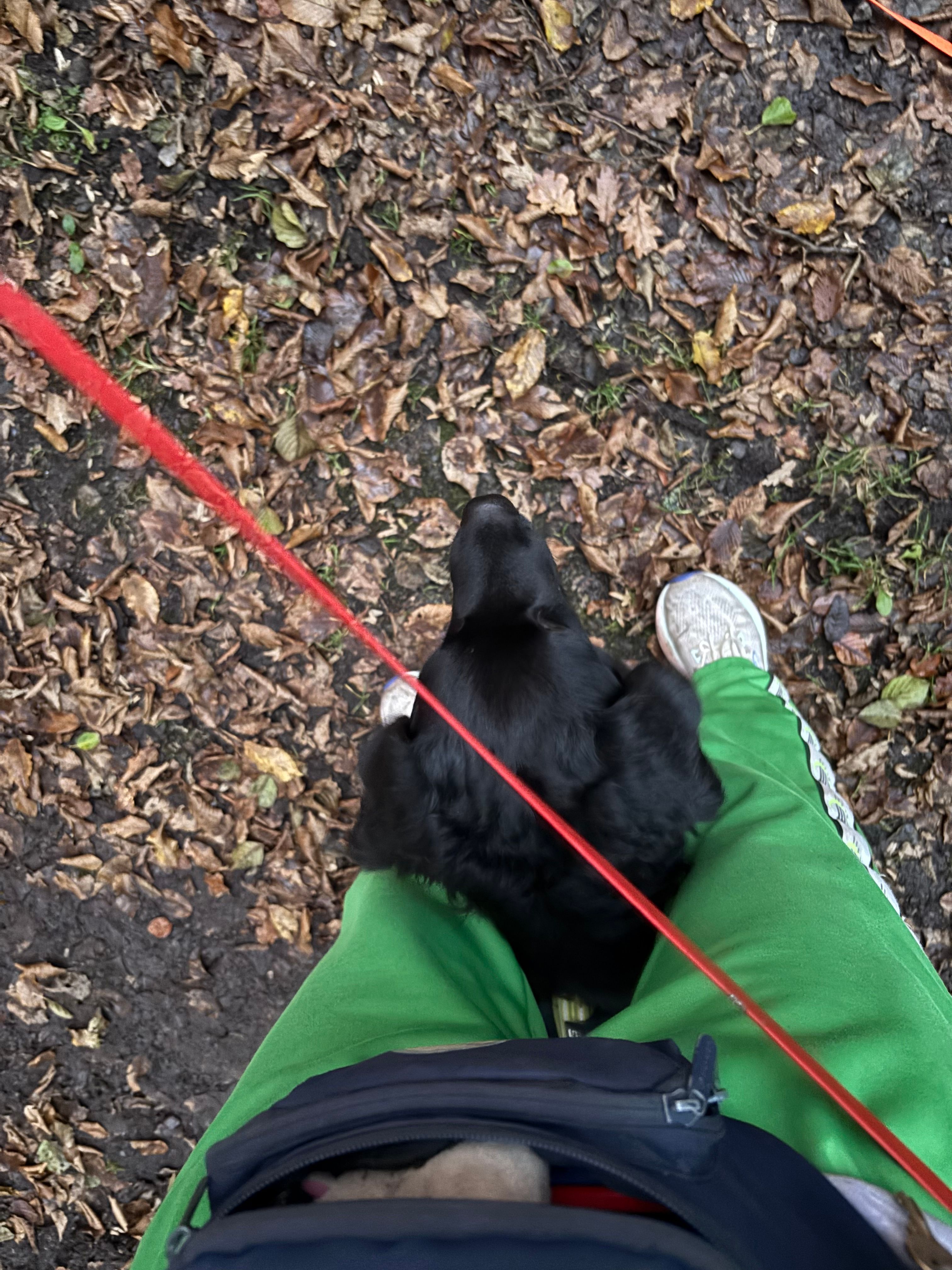 image-9