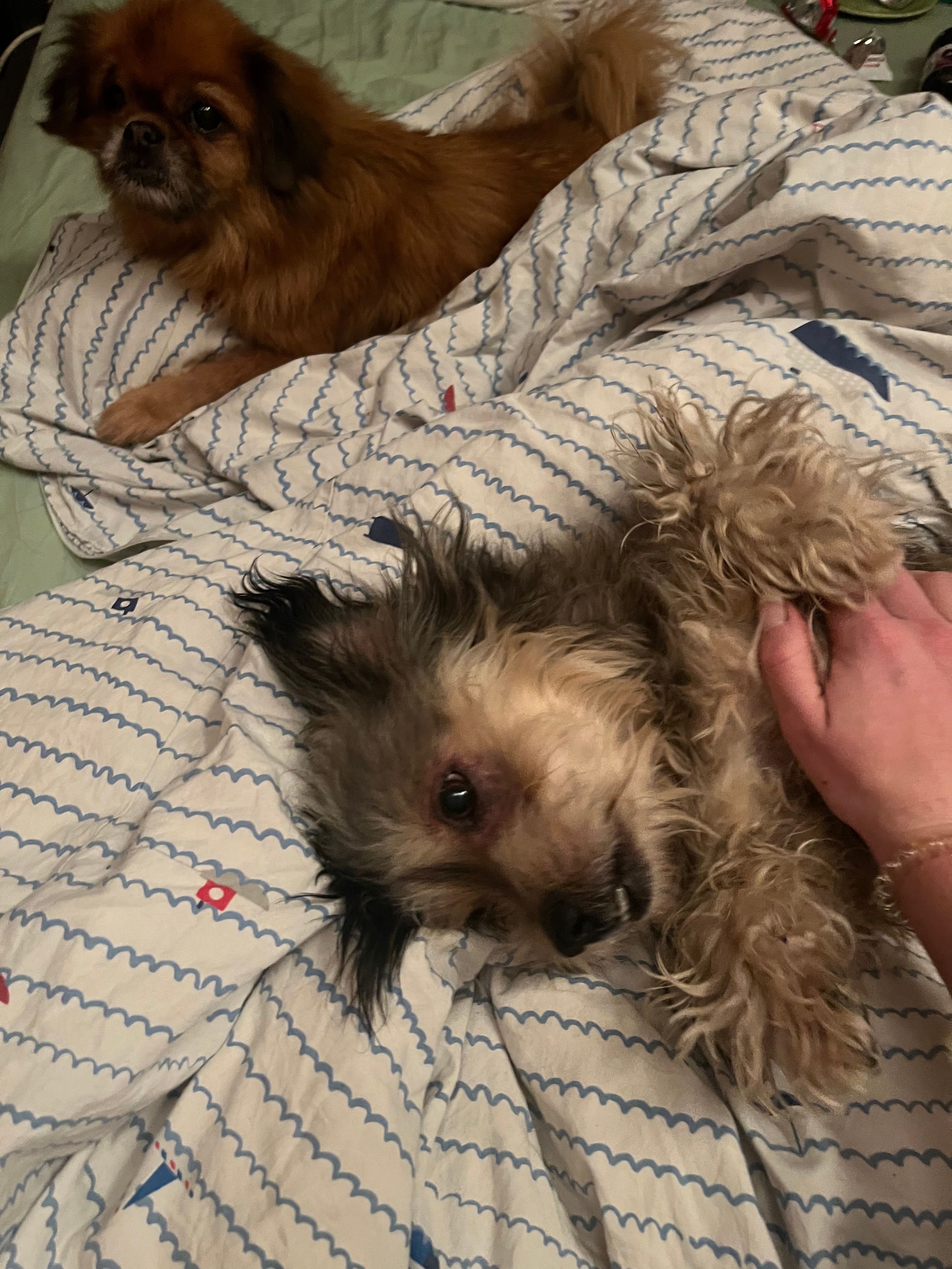 image-6