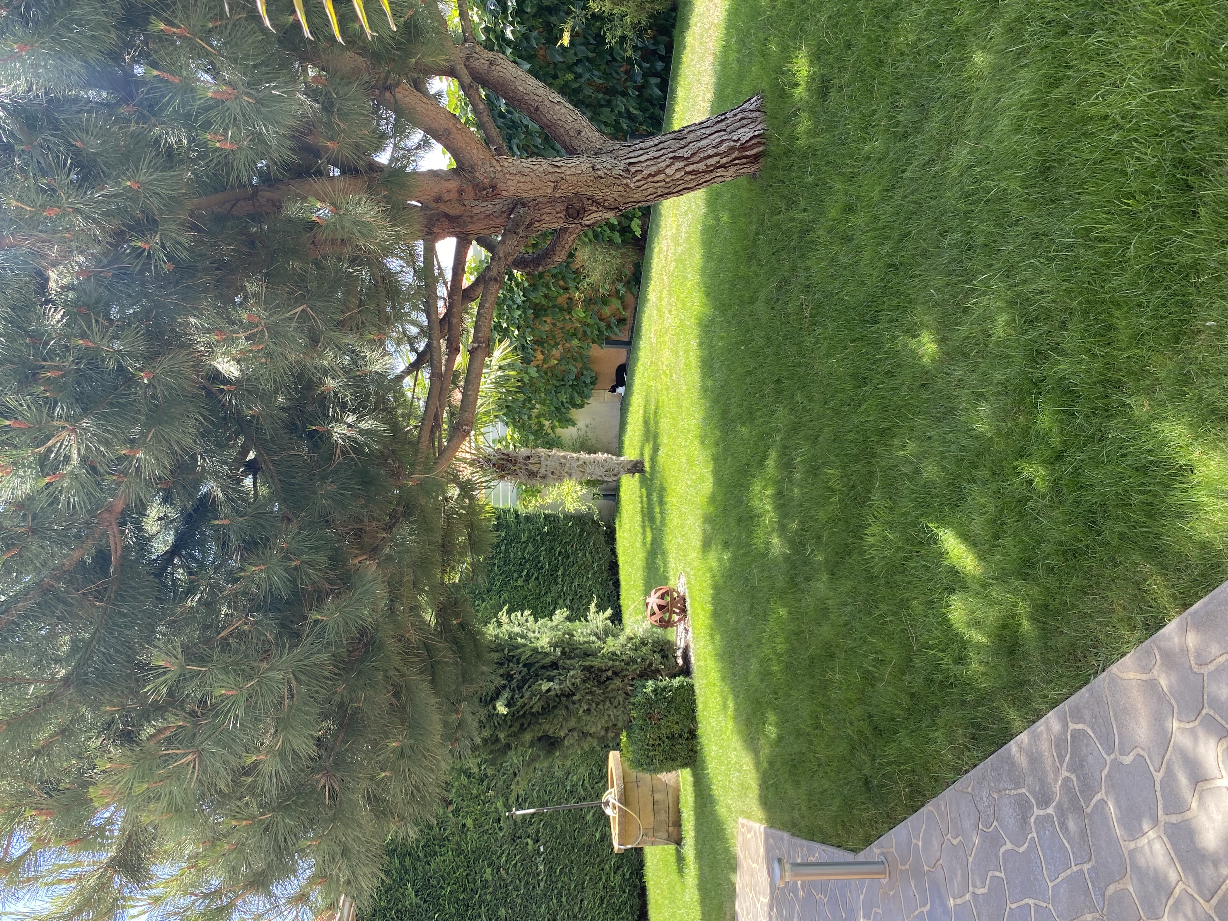 image-18