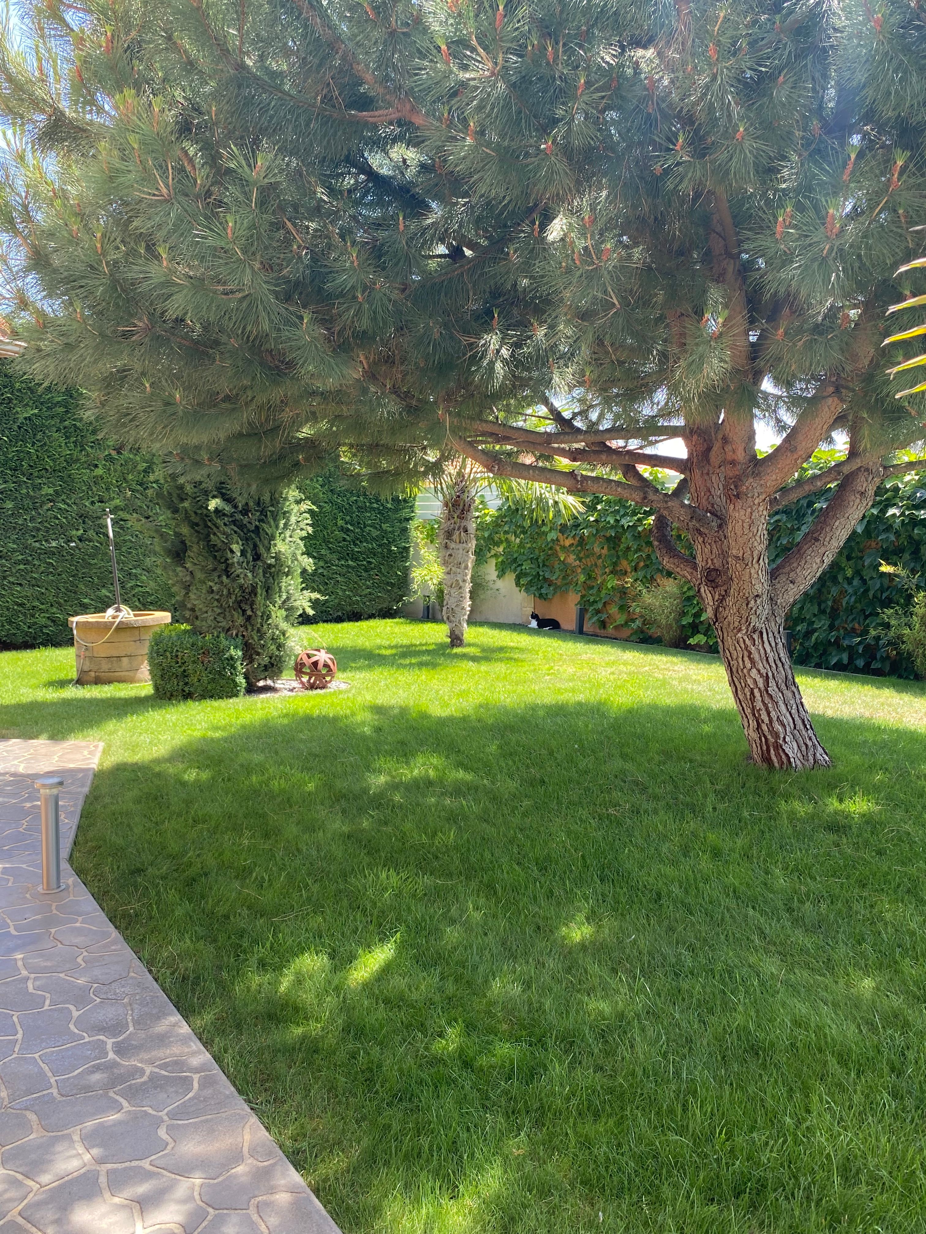 image-18