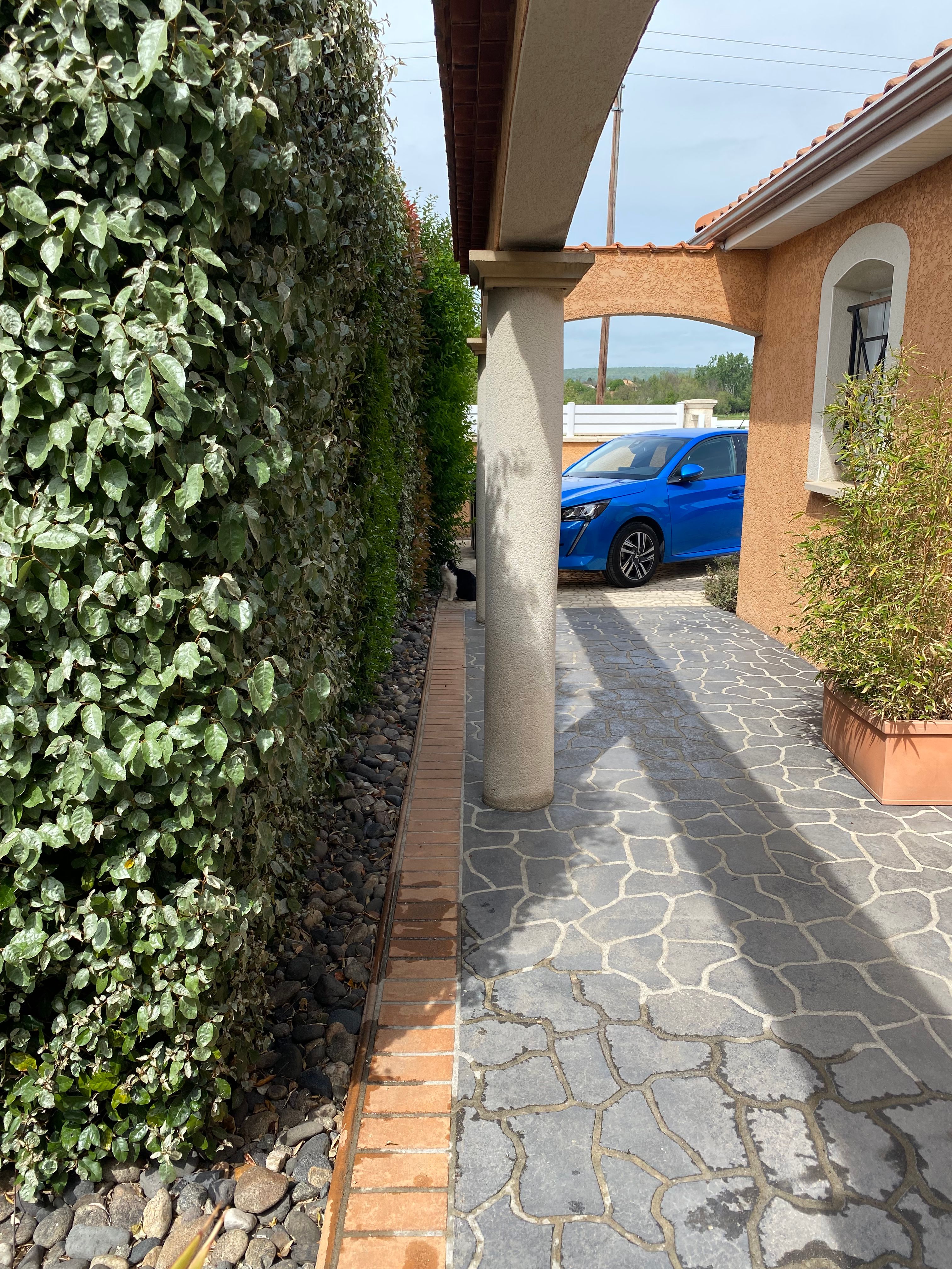 image-14