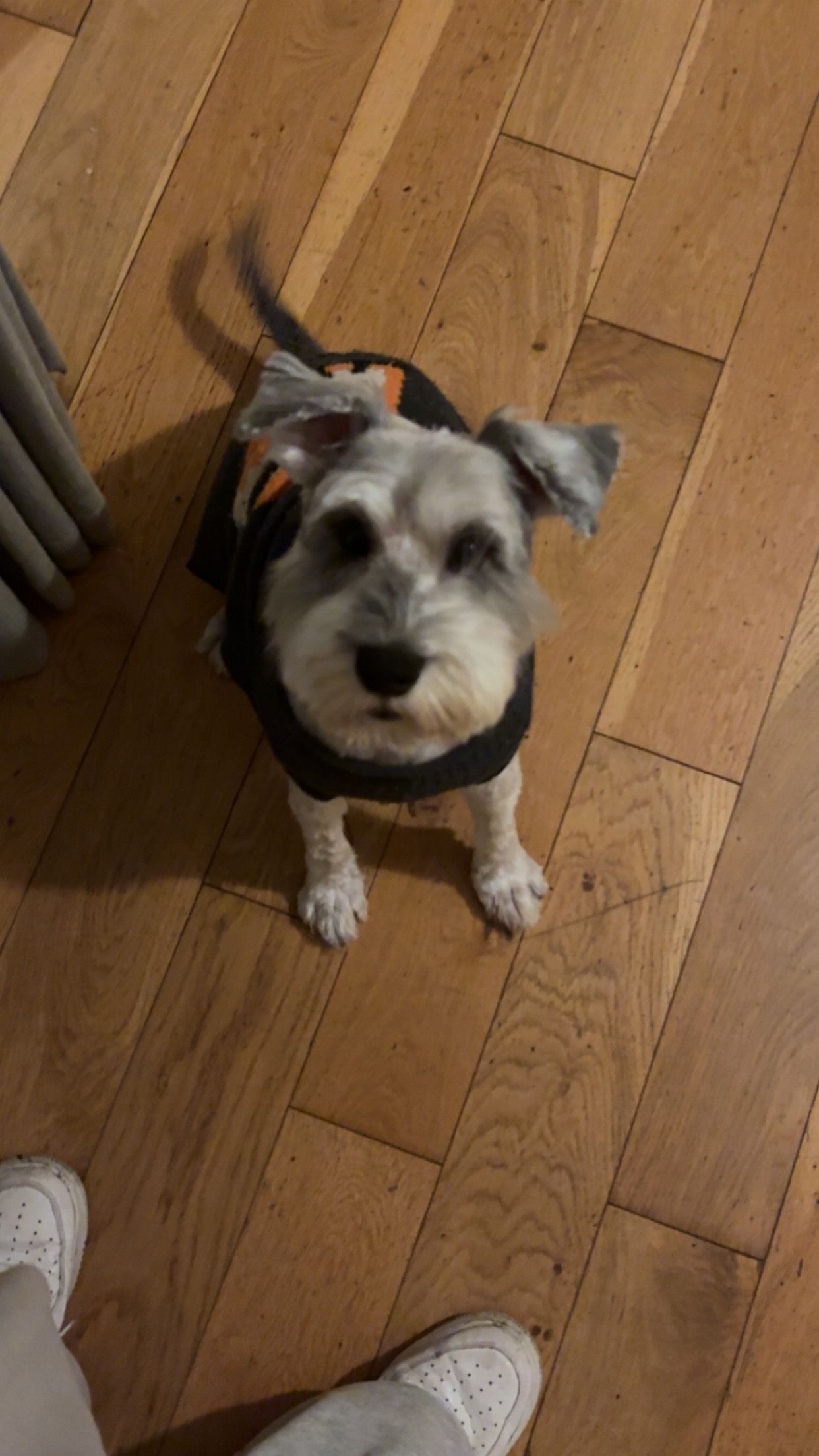 image-7
