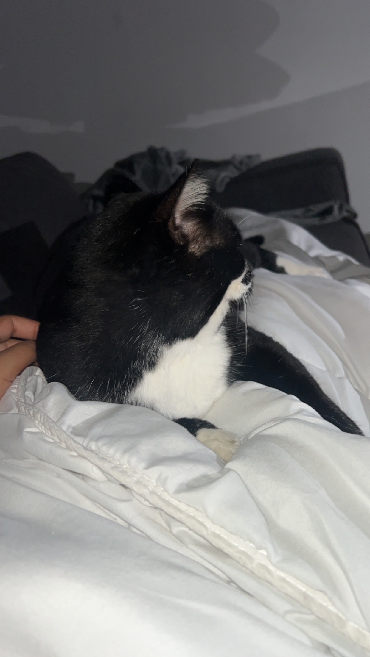 image-5