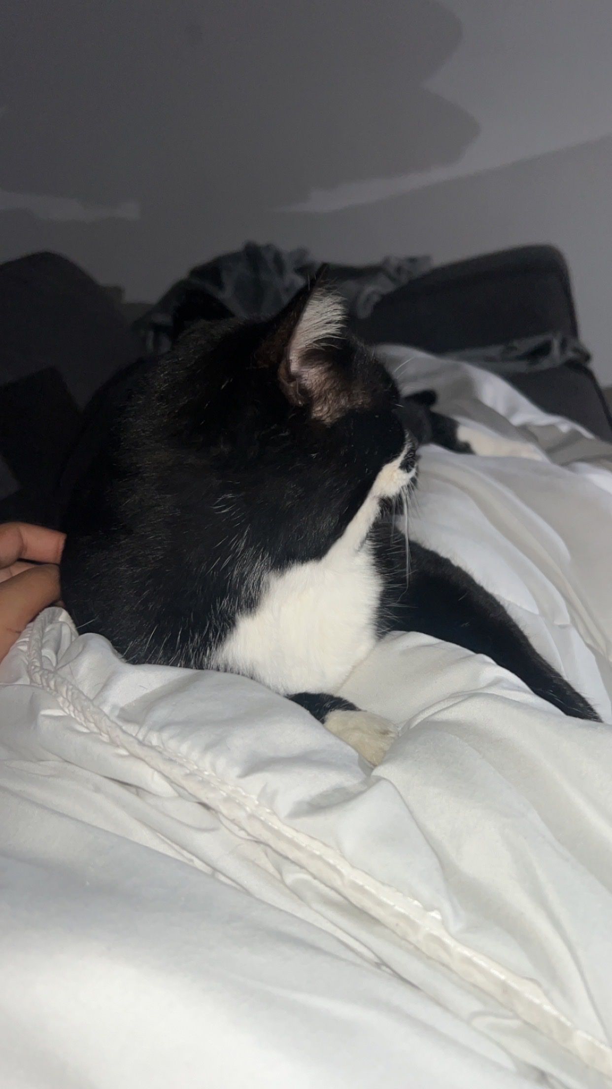 image-5