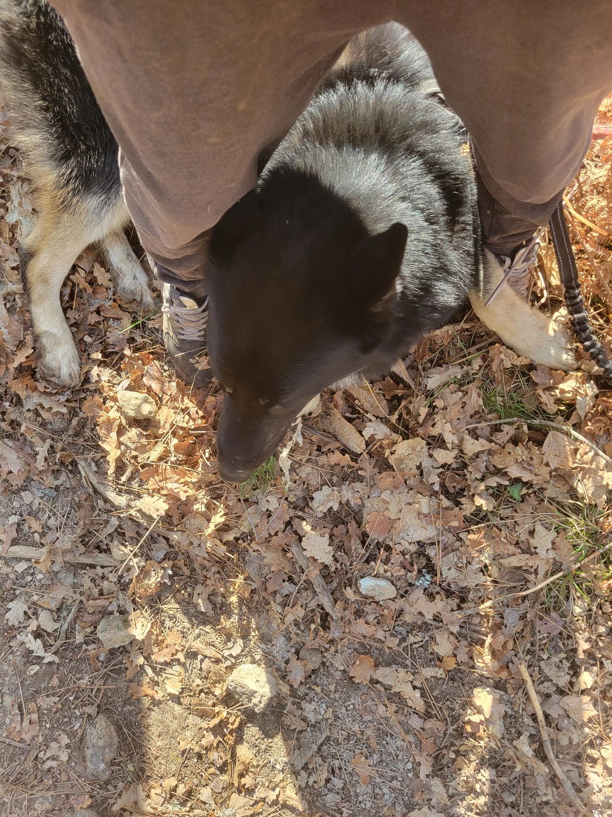 image-10