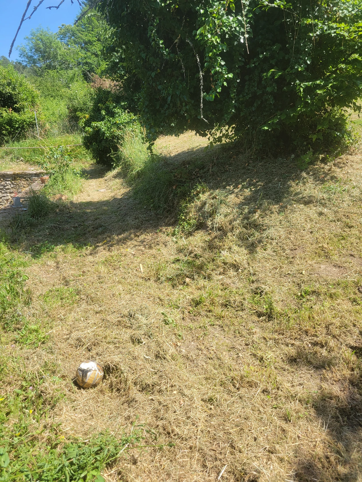 image-20