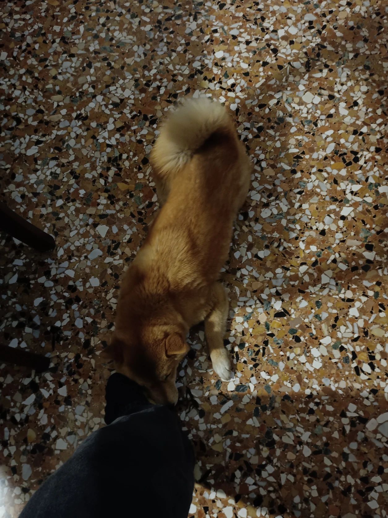 image-8