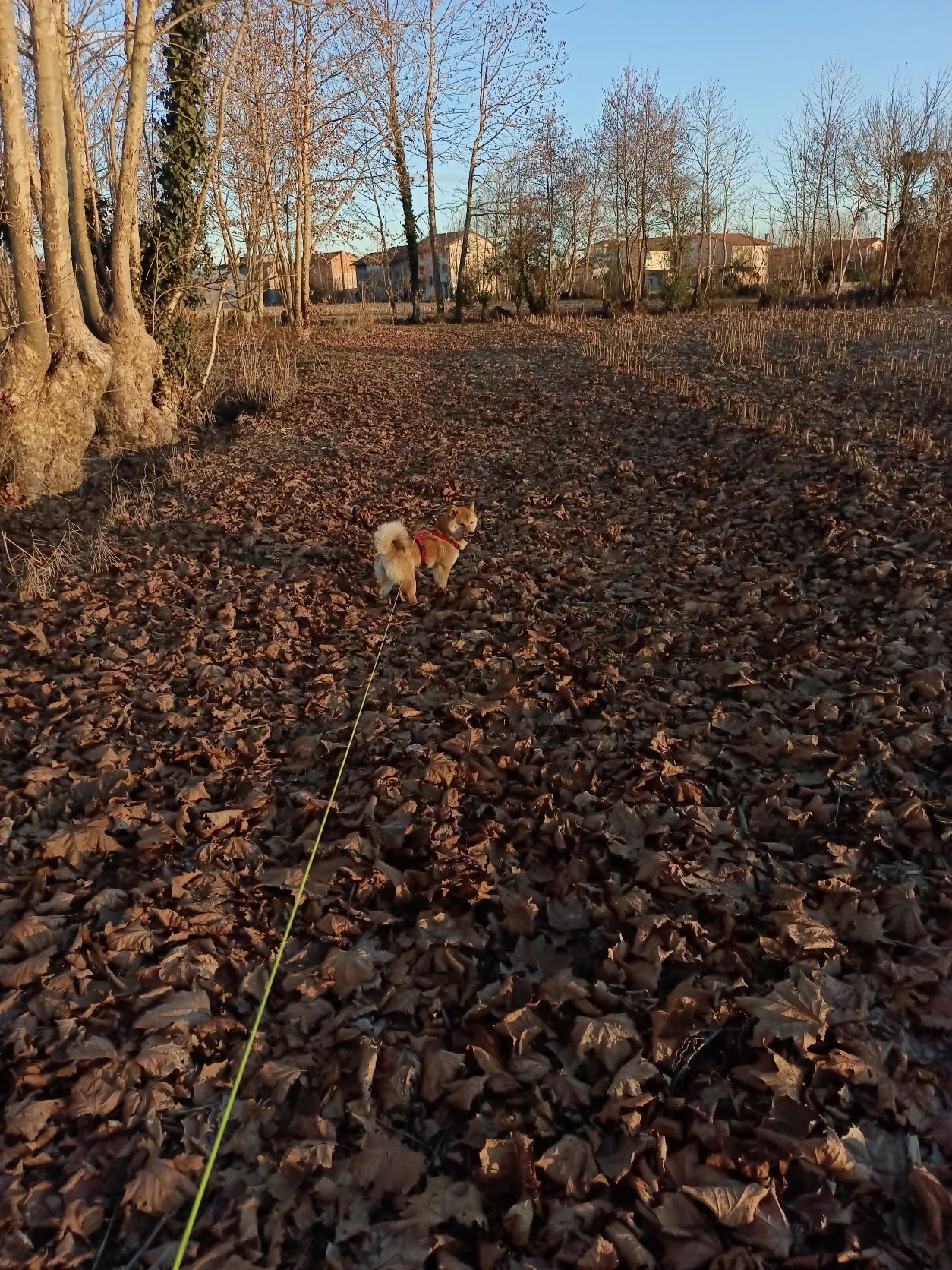image-14