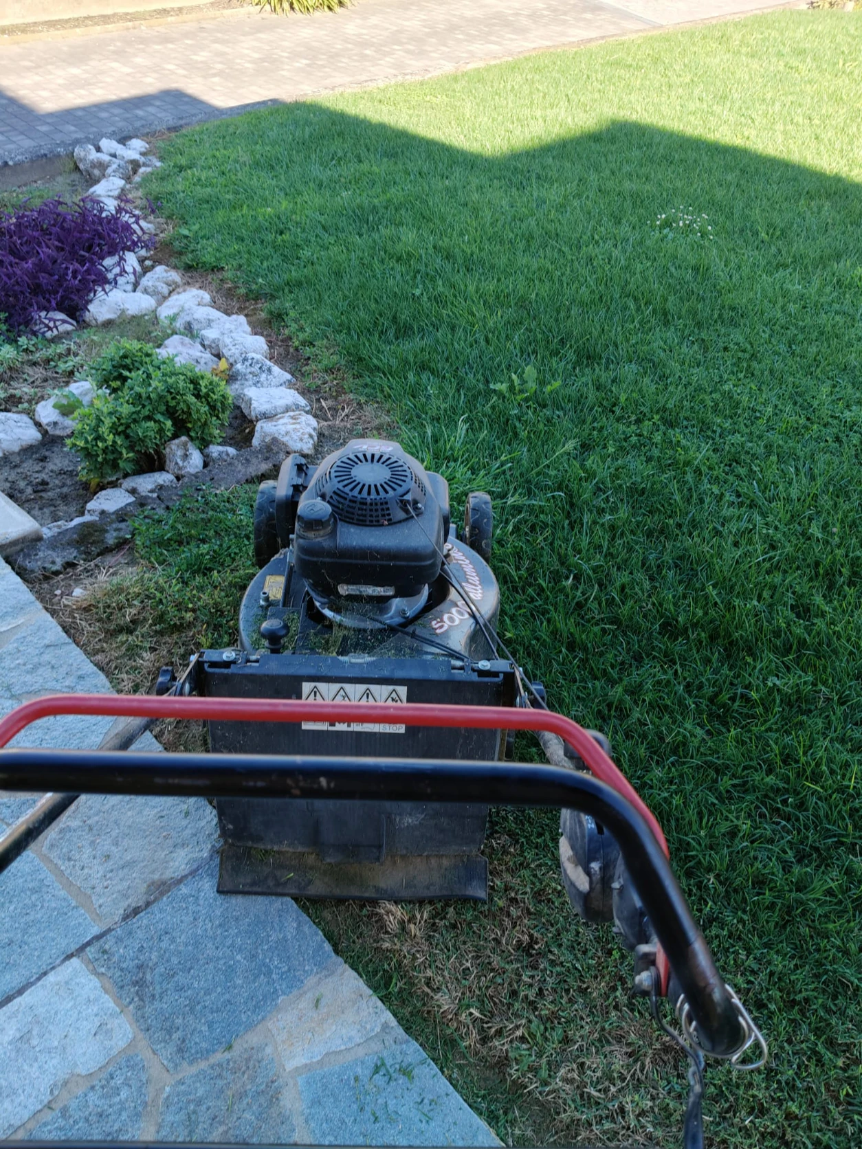 image-11