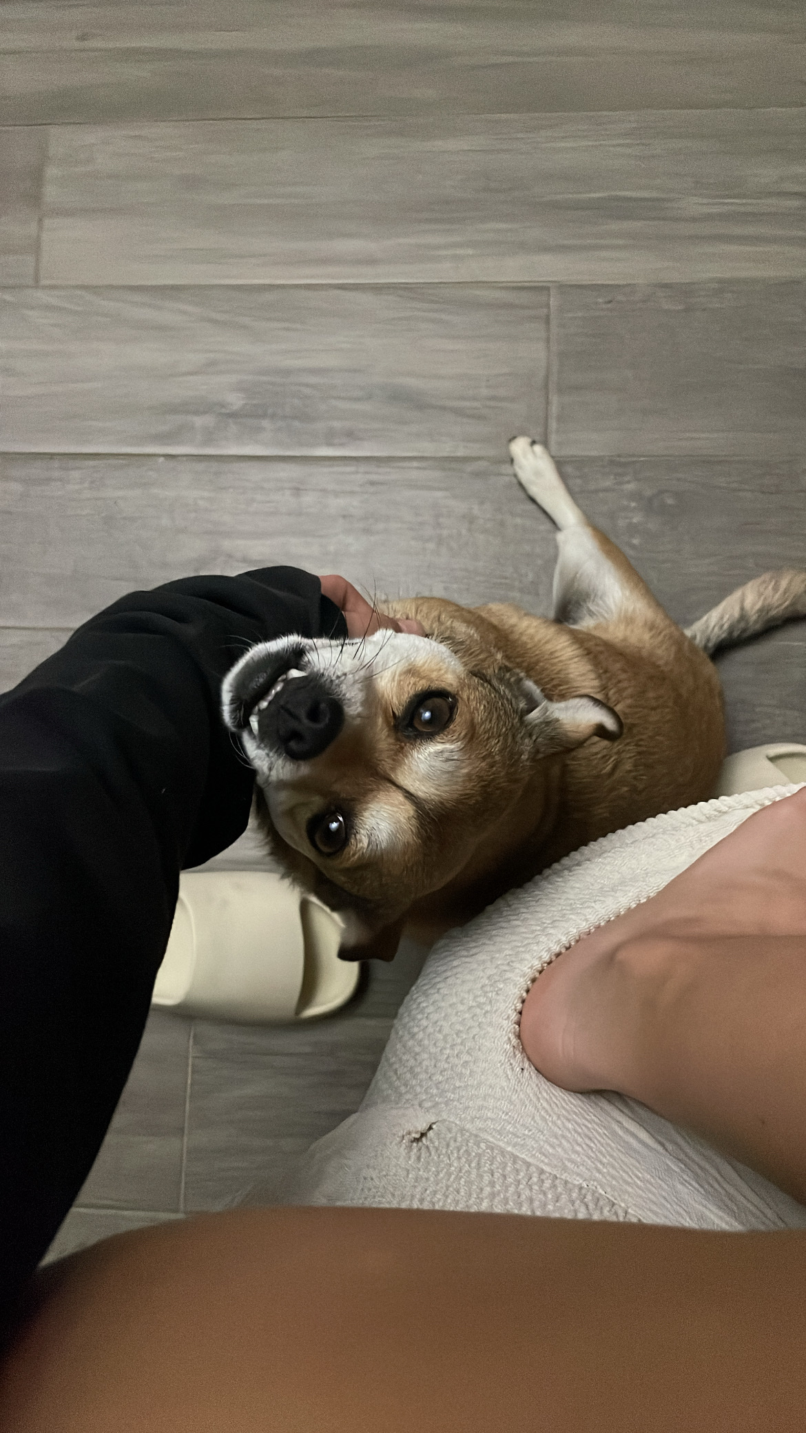 image-6