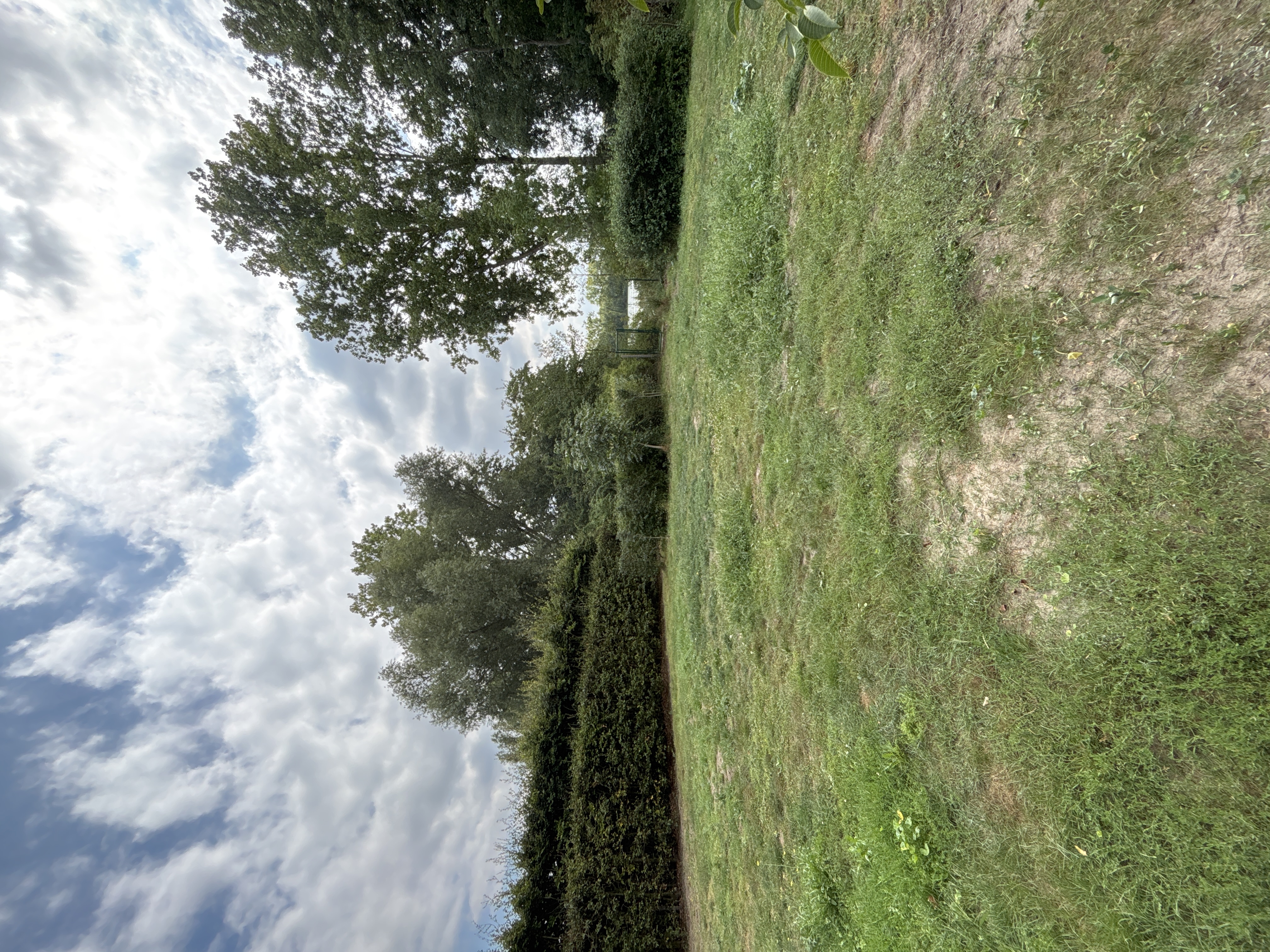 image-19