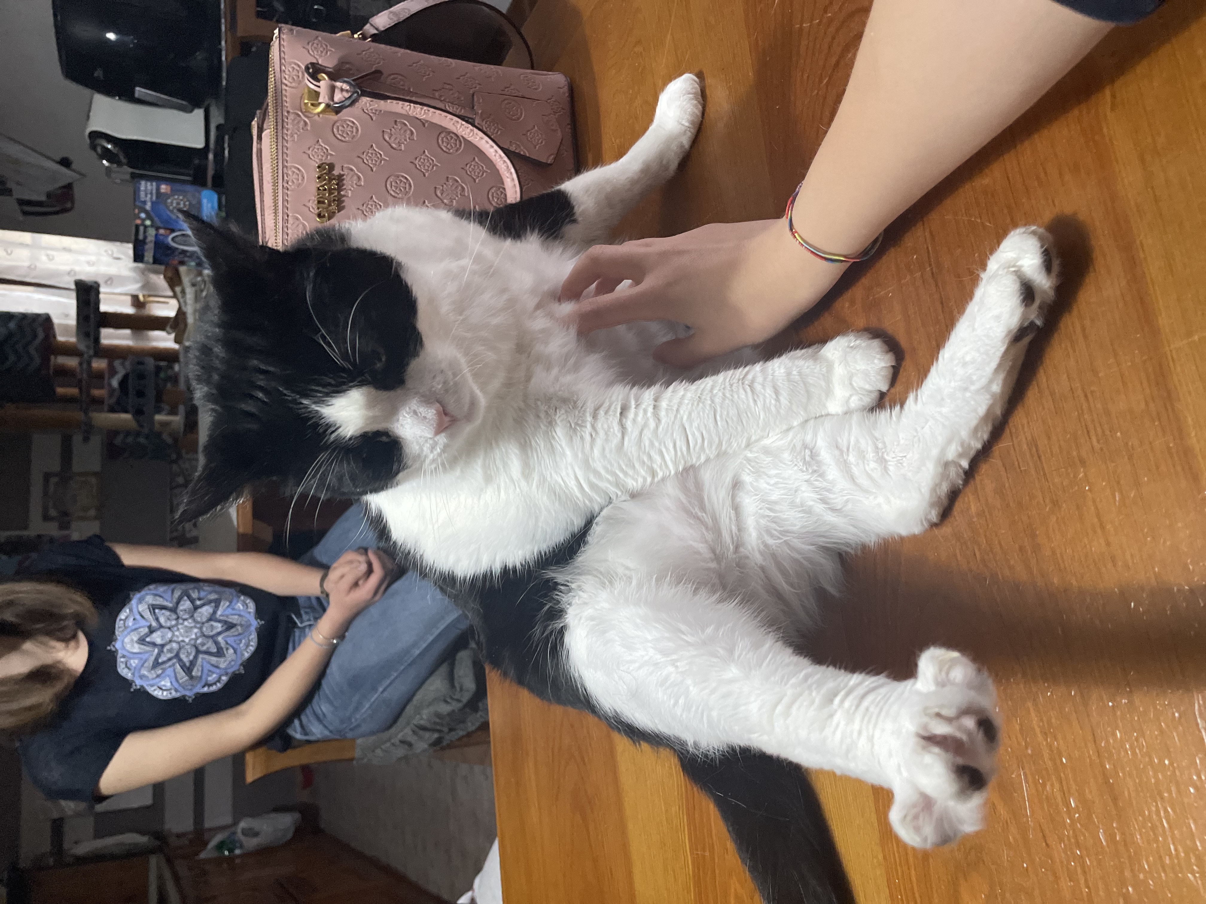 image-8