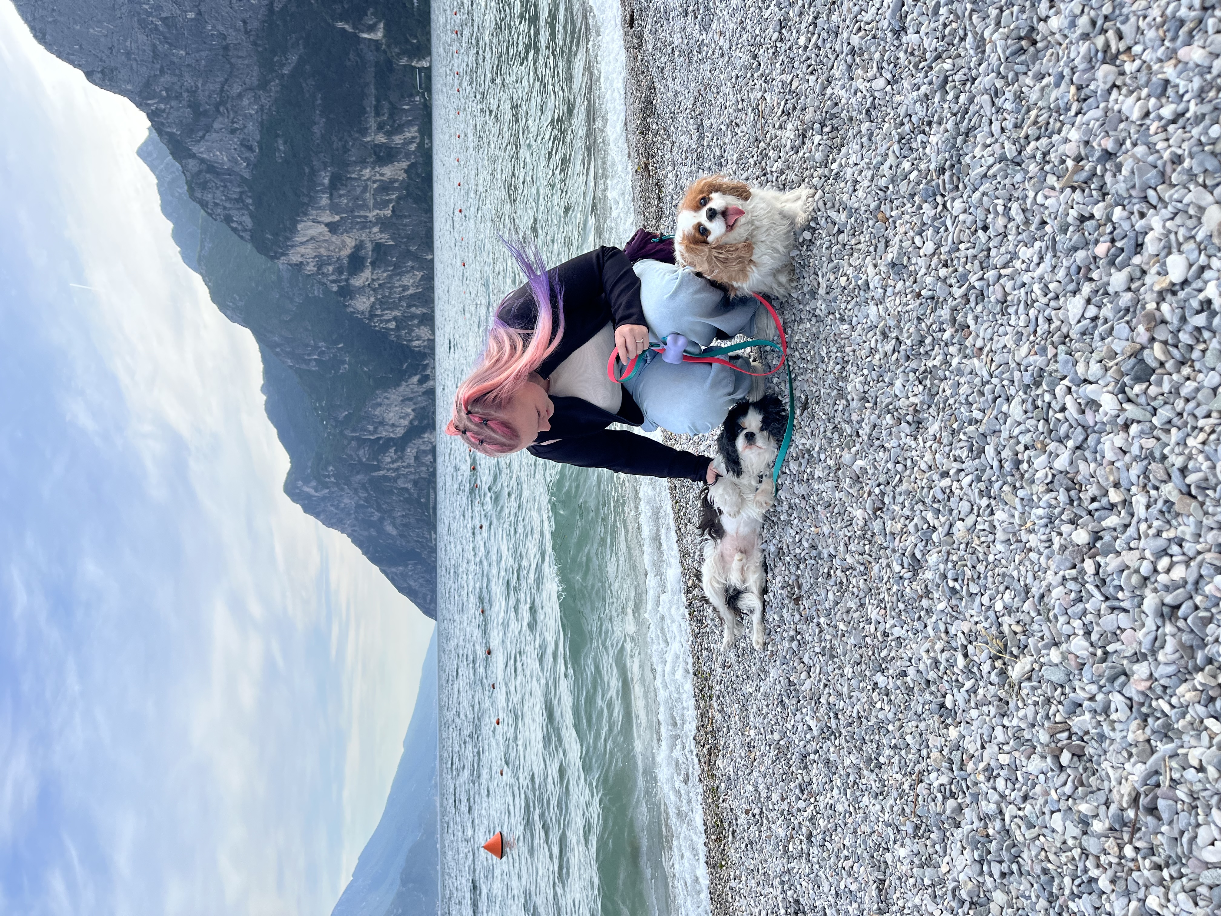 image-10