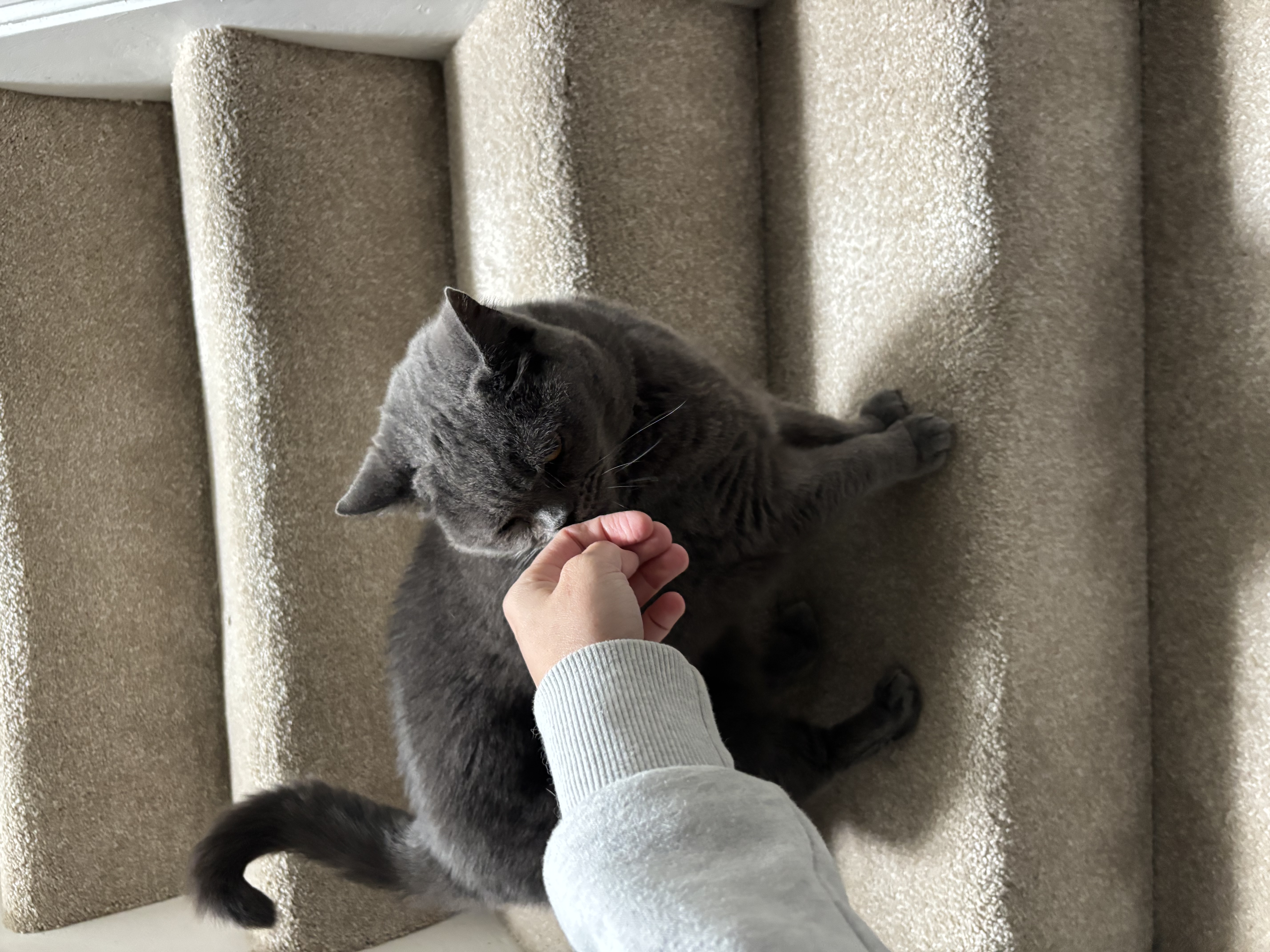 image-9