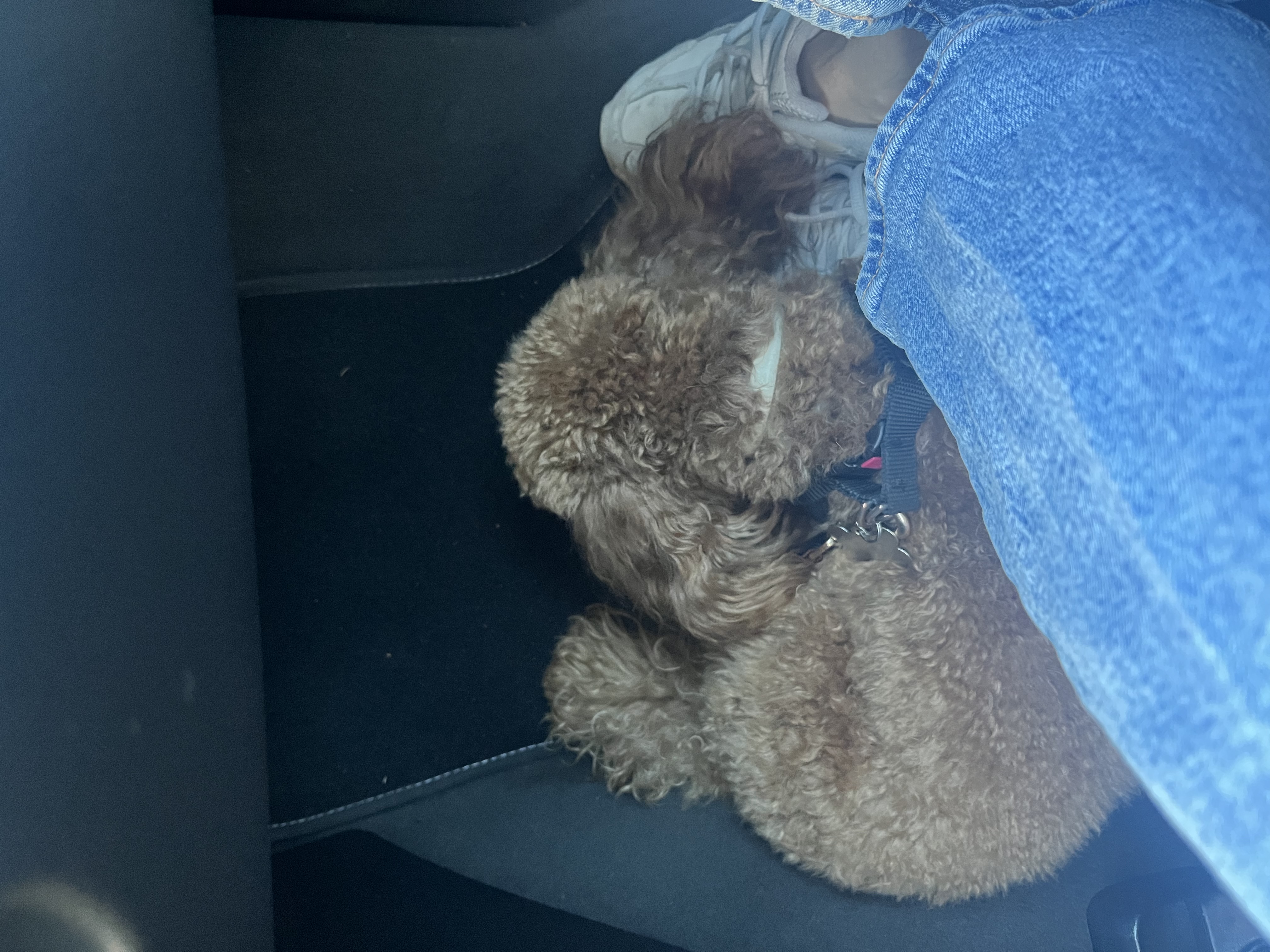 image-5
