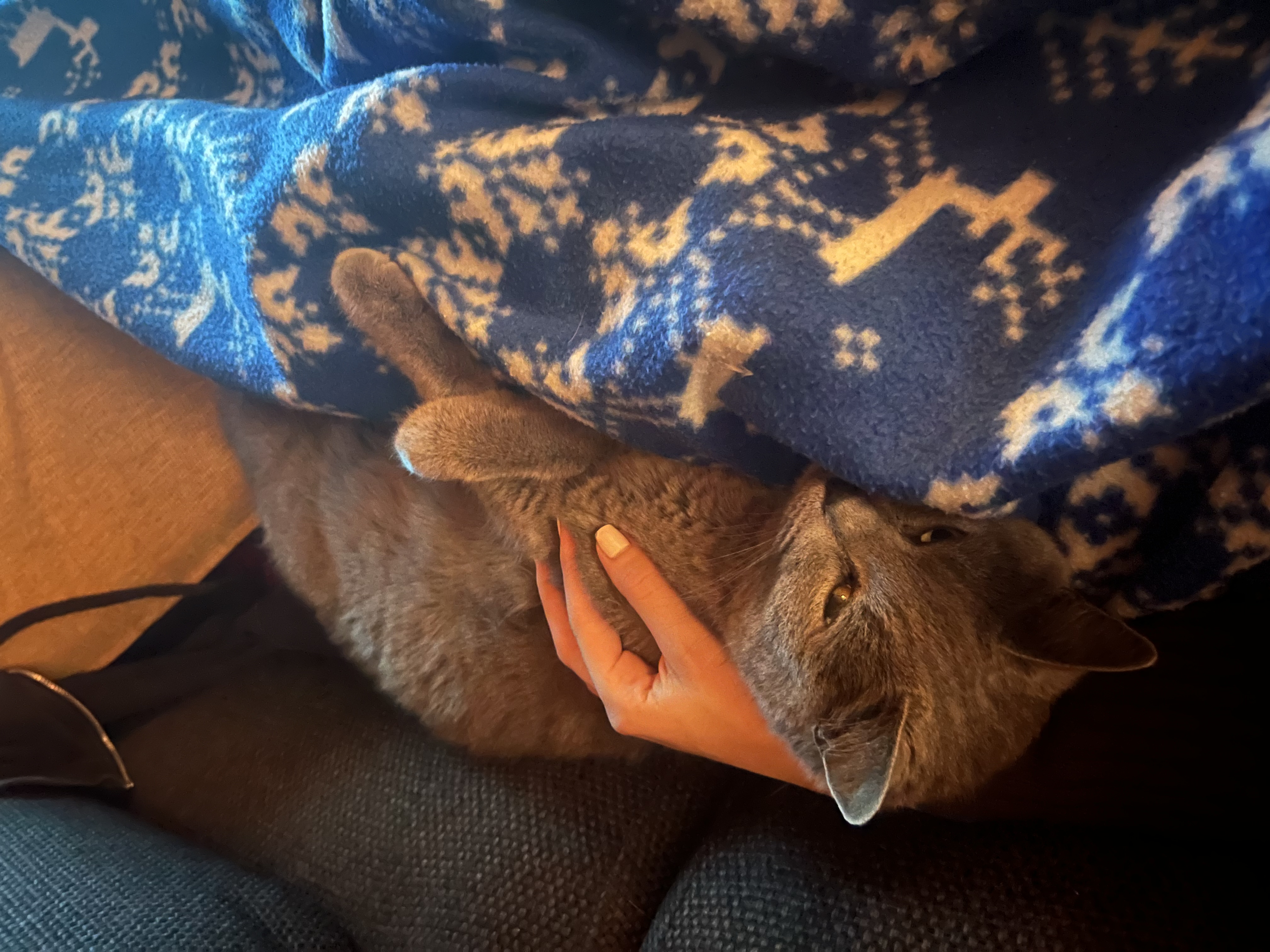 image-8