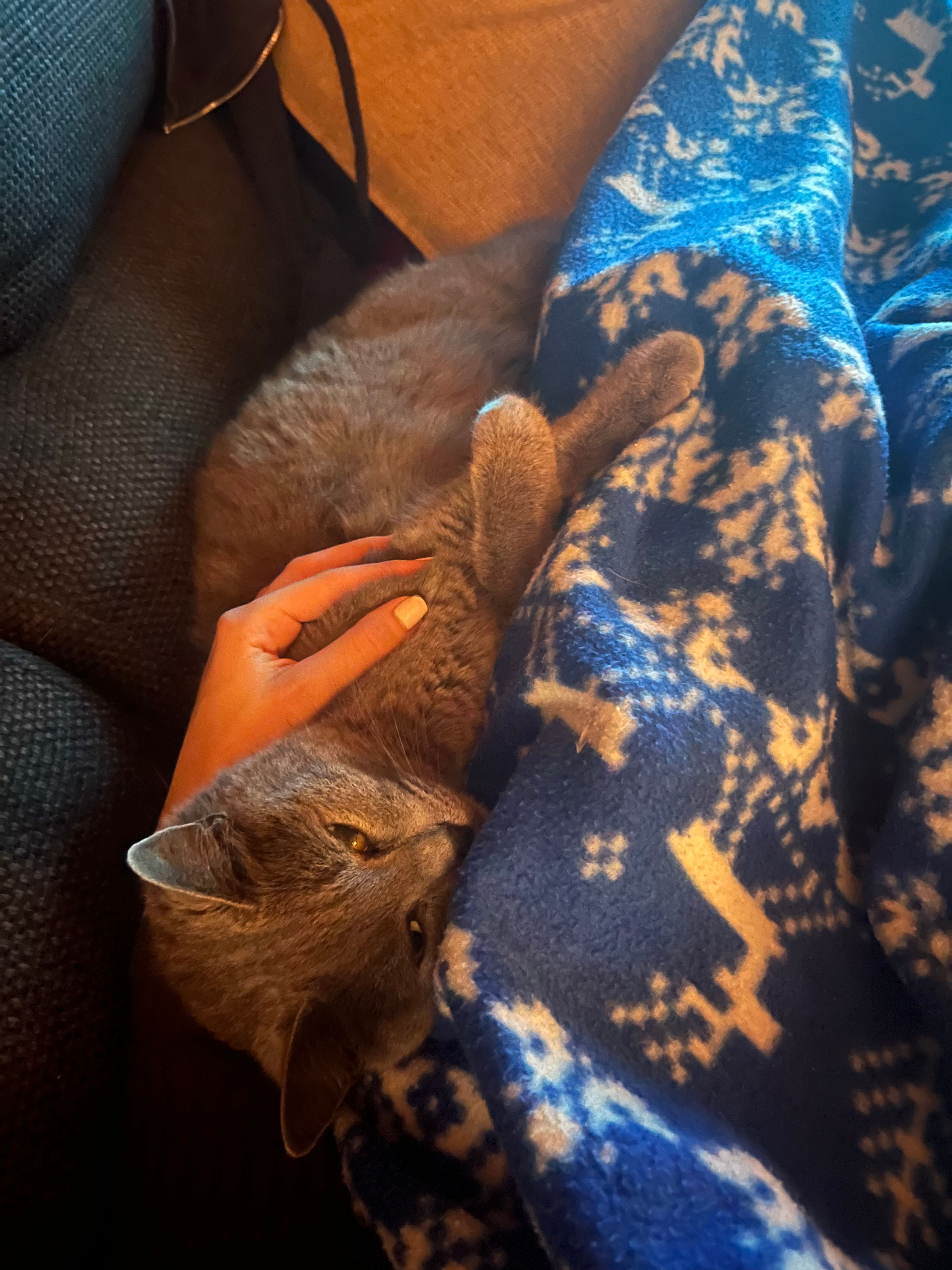 image-8