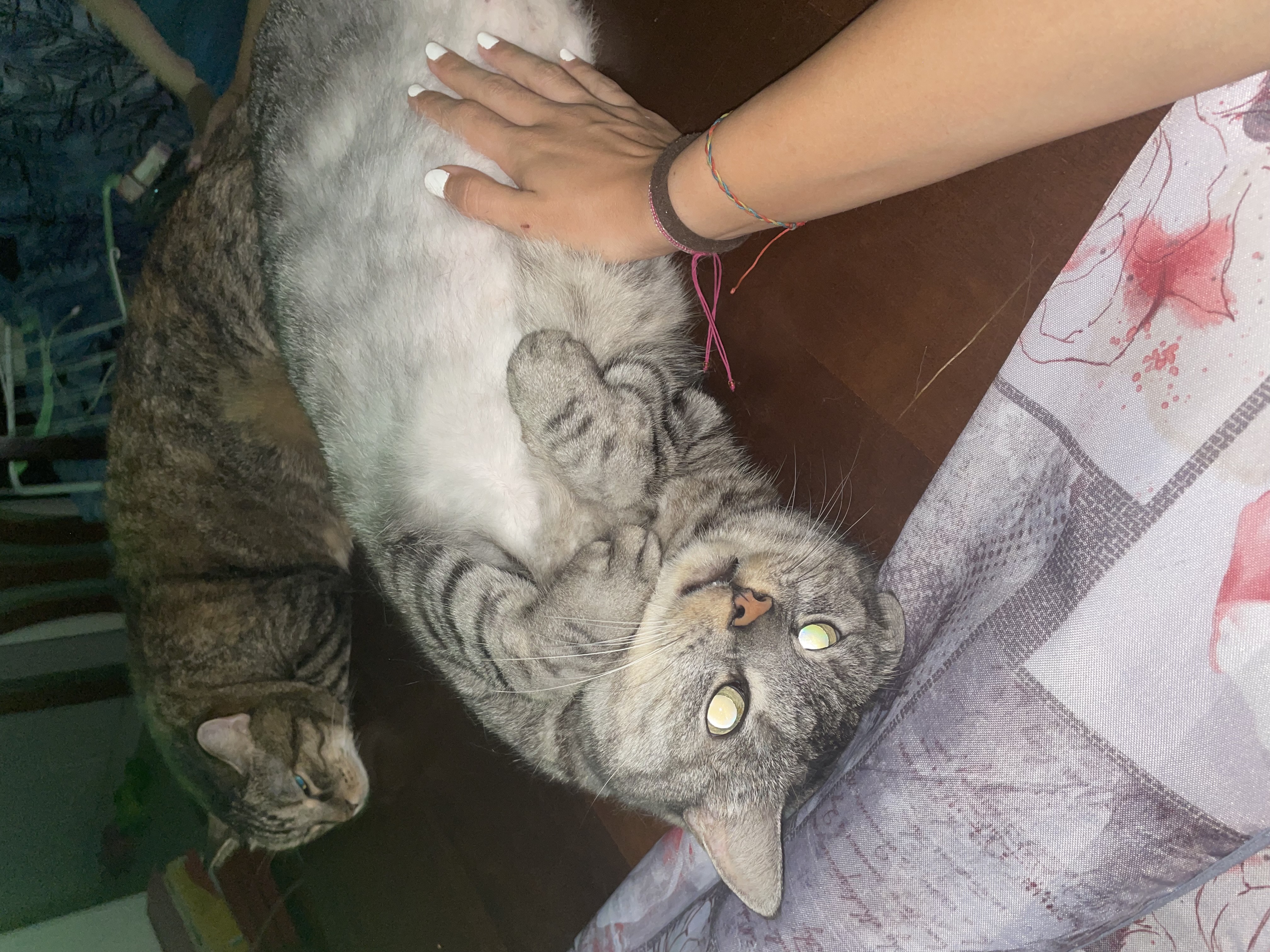 image-6