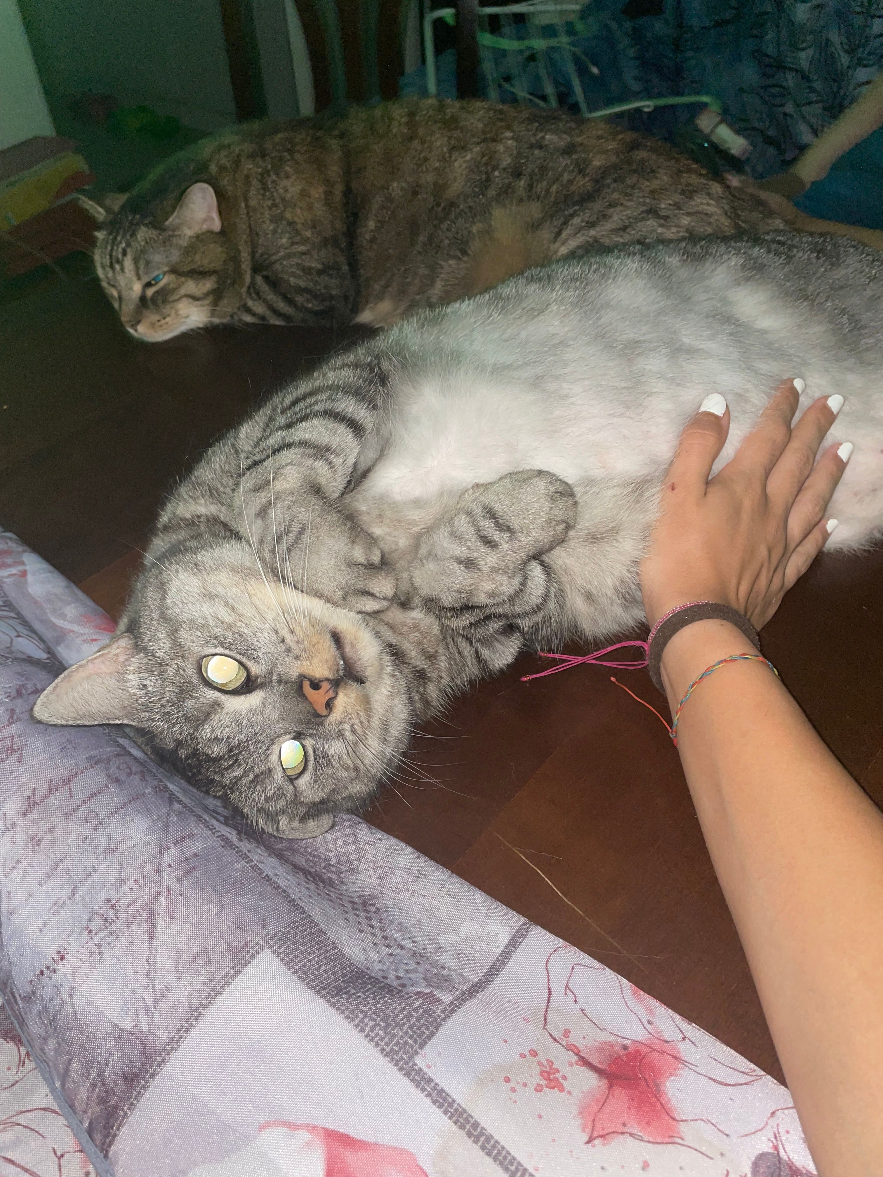 image-6