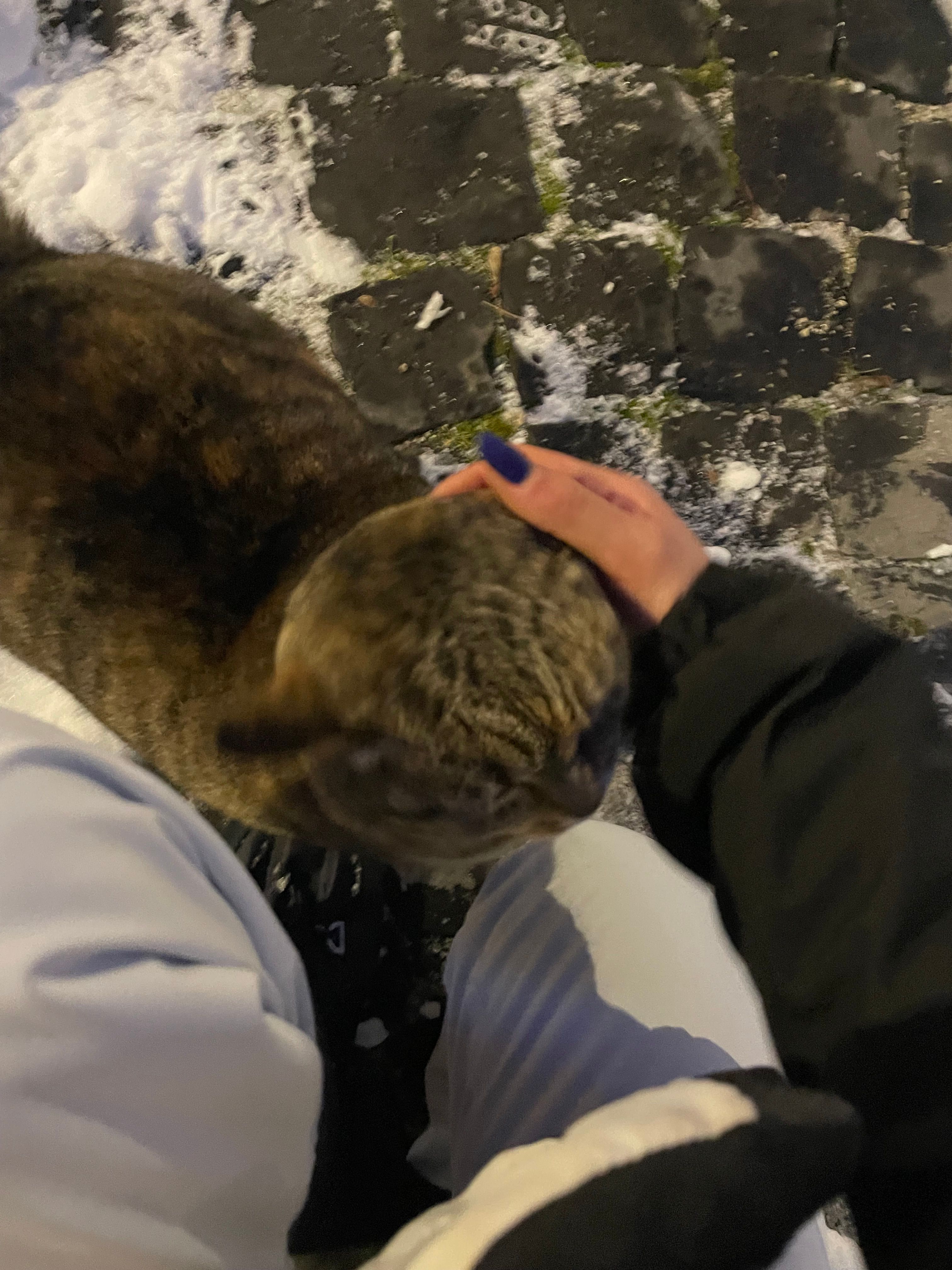 image-8