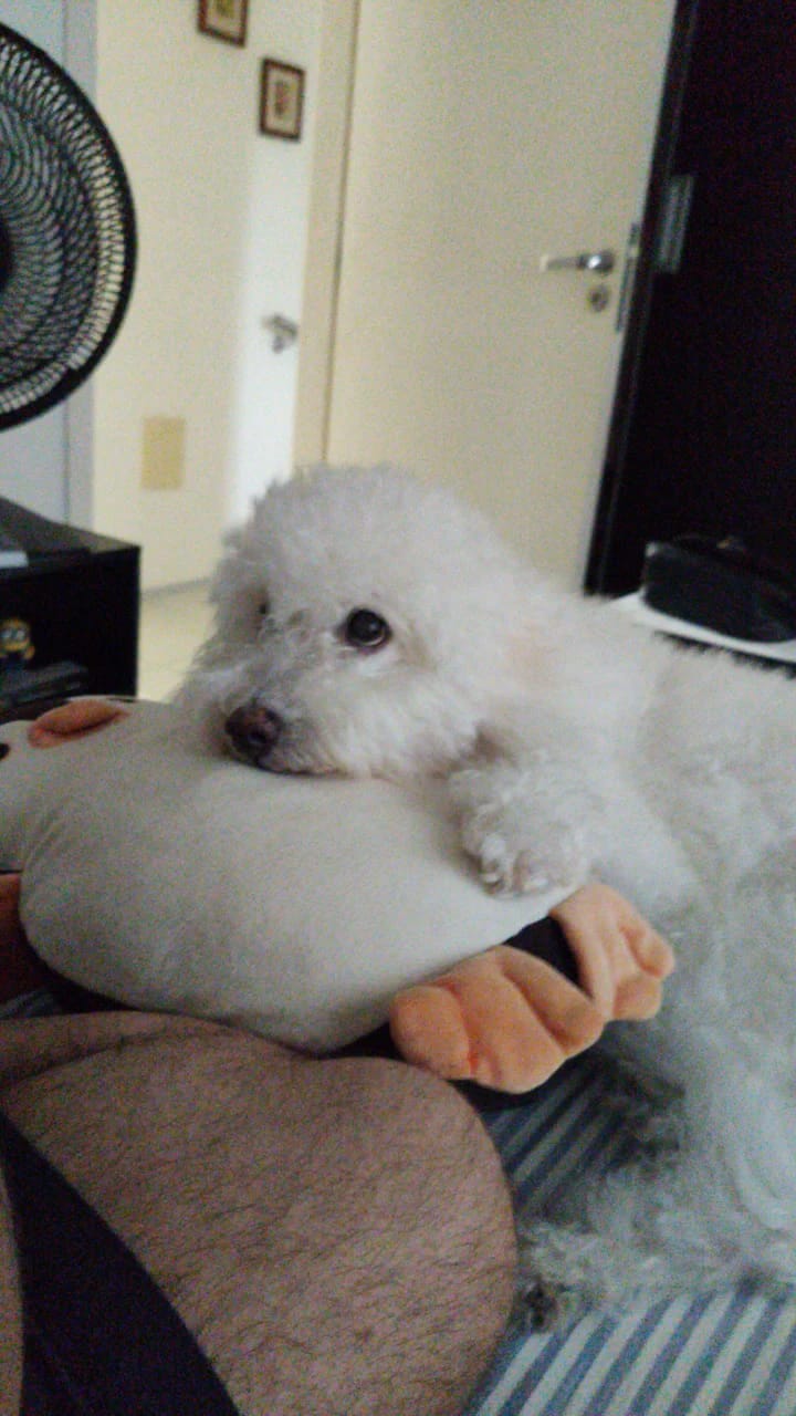 image-7