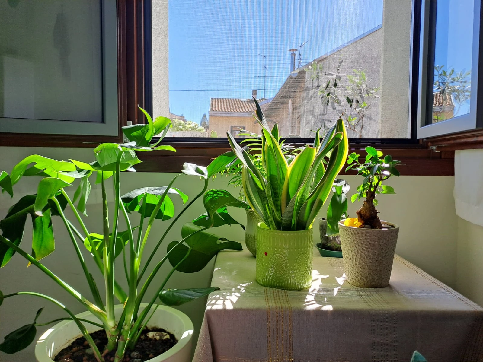 image-10