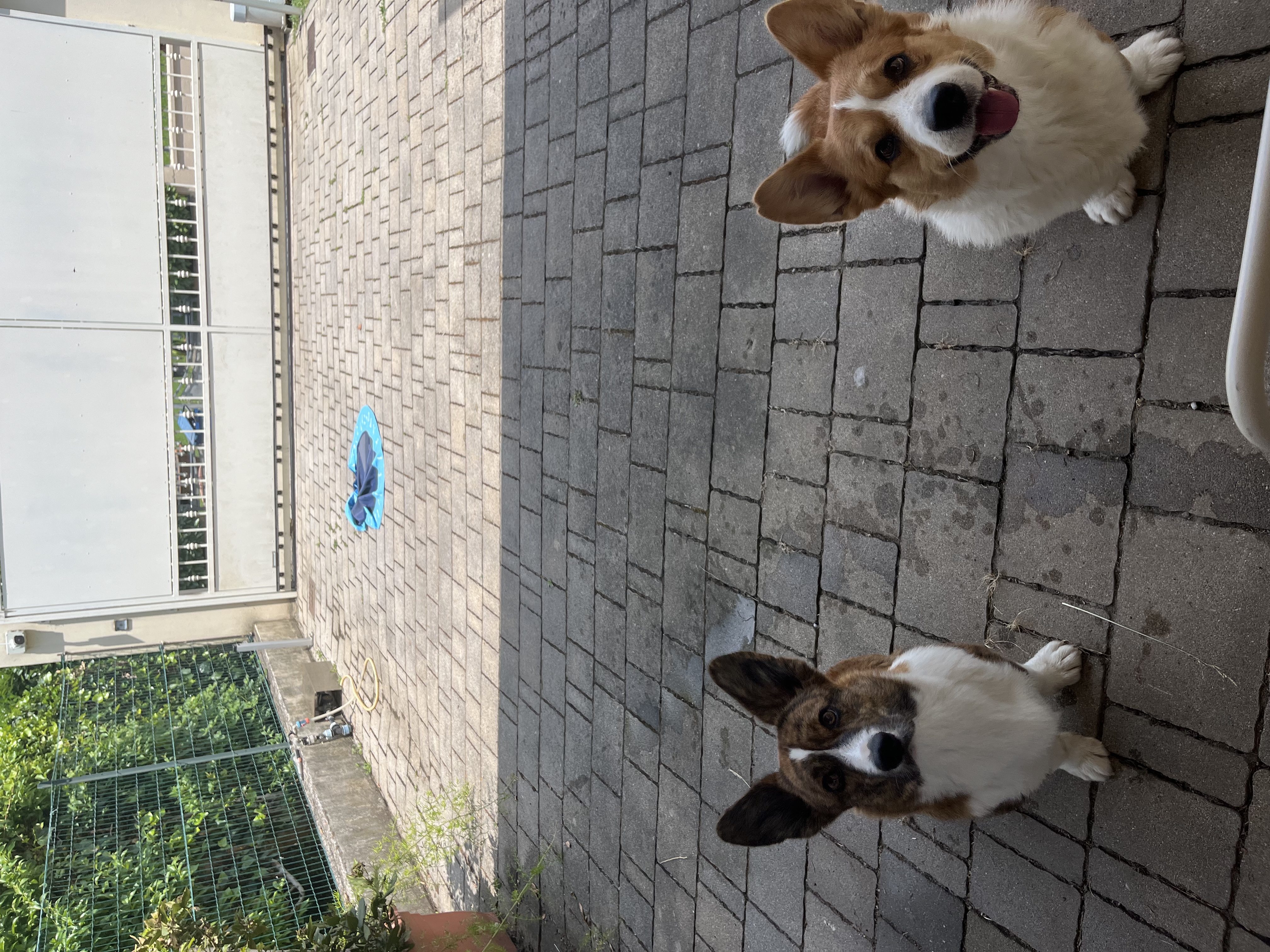 image-9