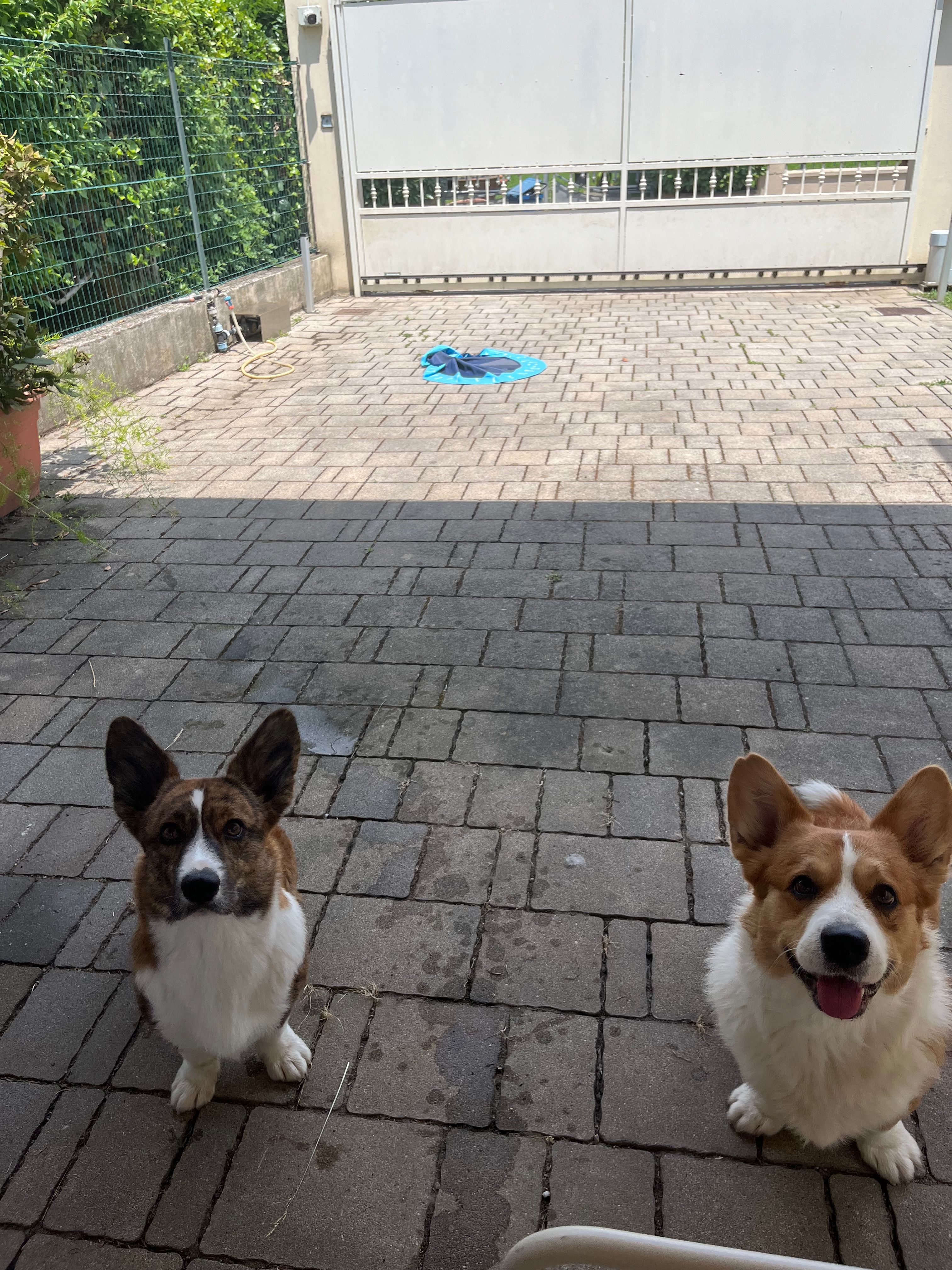 image-9