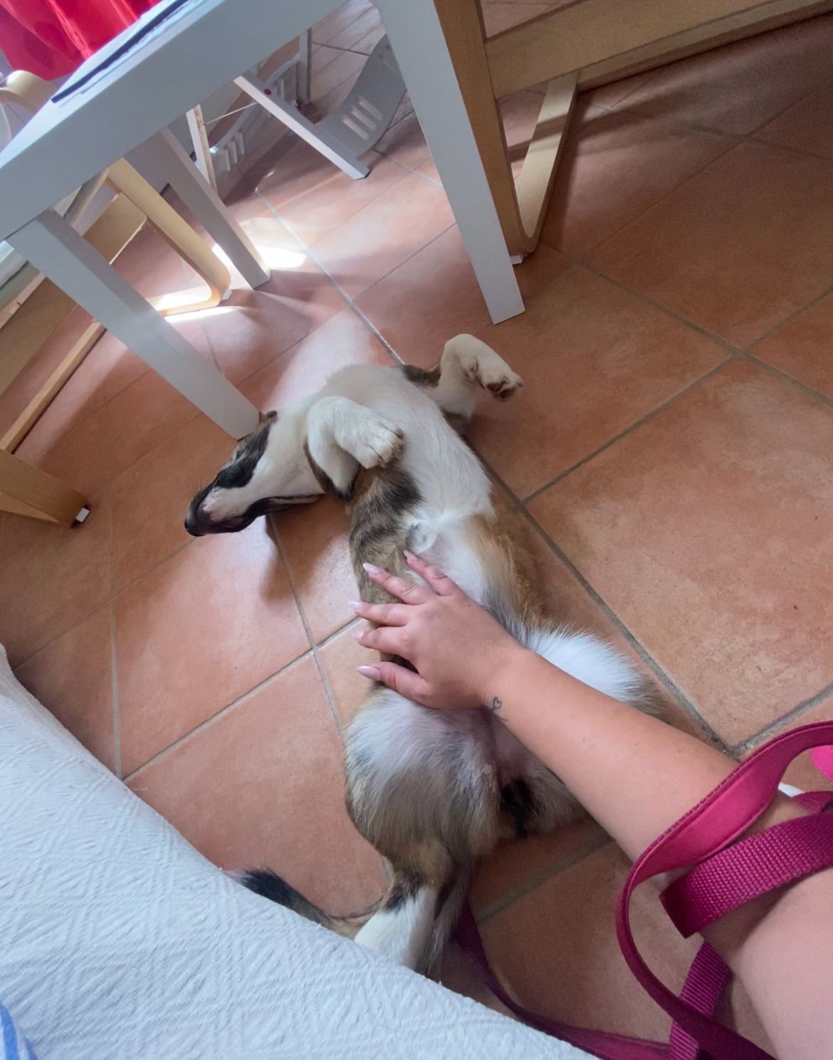 image-6