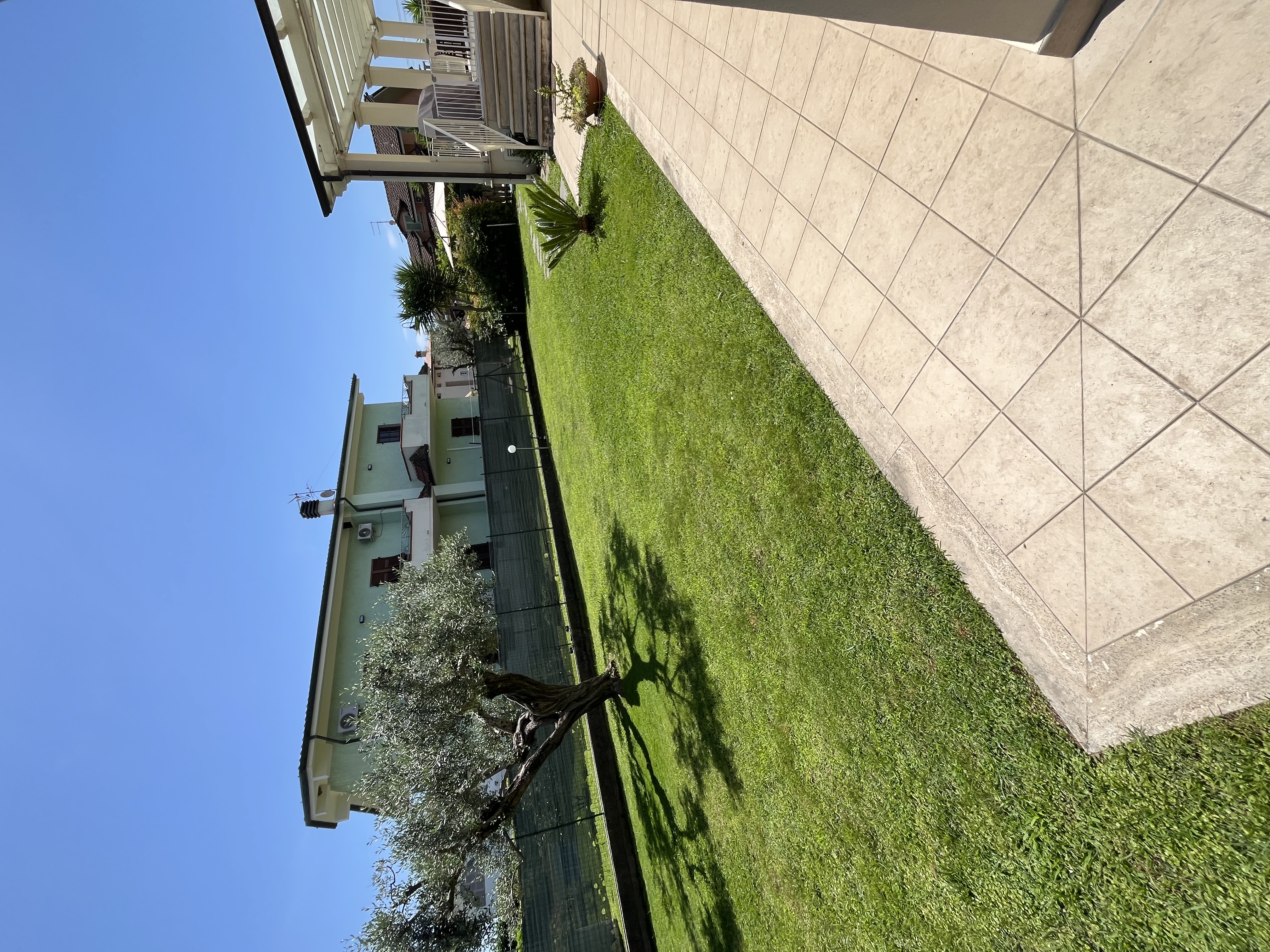 image-19