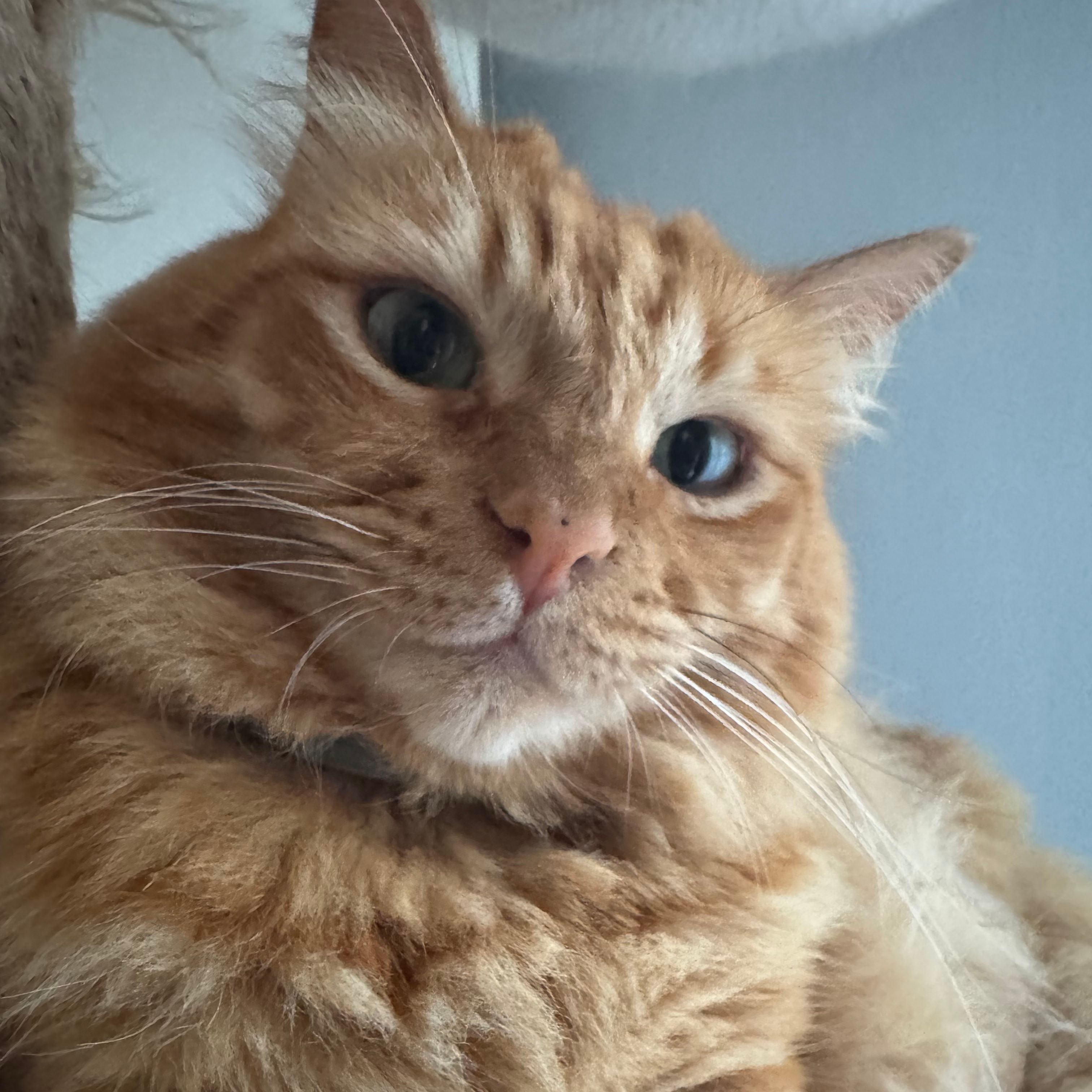 Bob