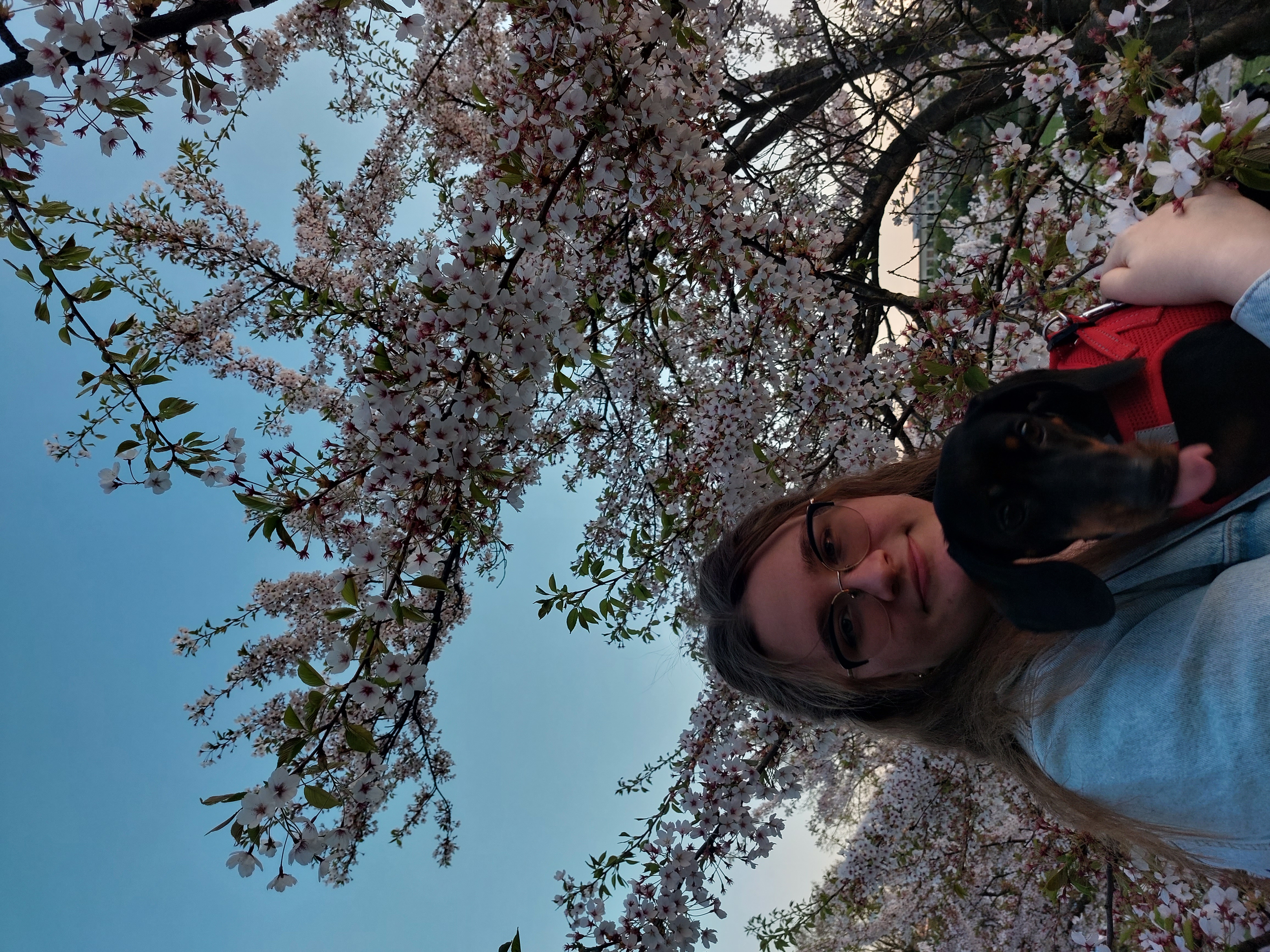 image-8