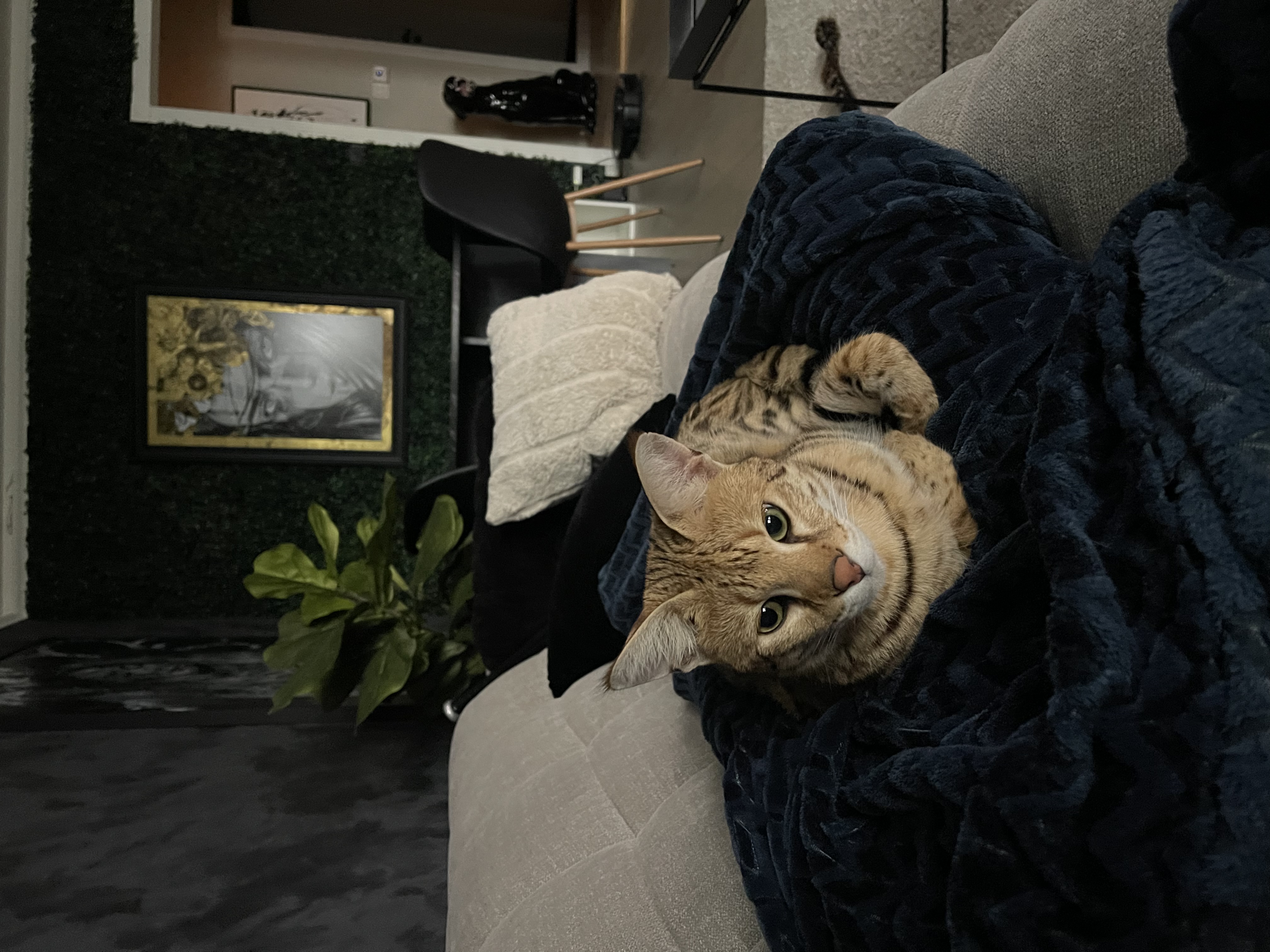image-9