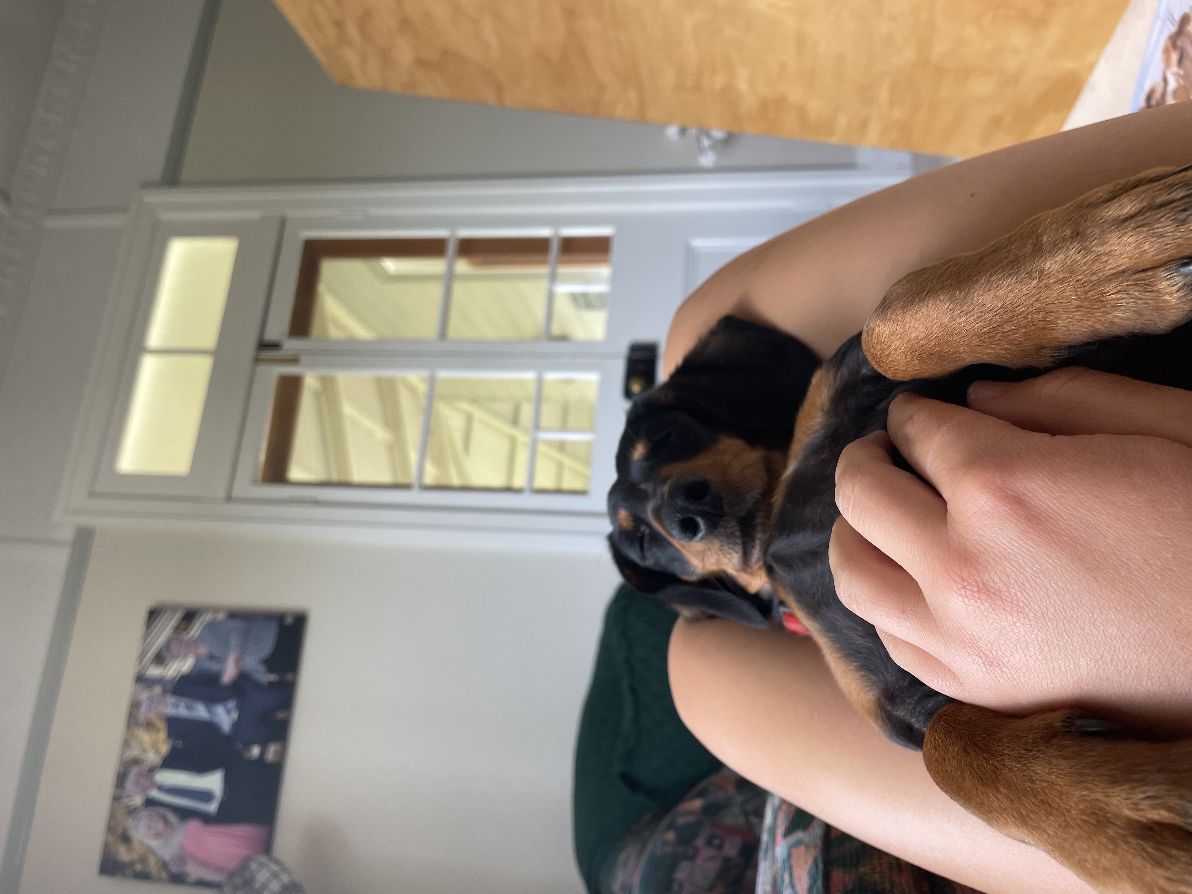 image-6