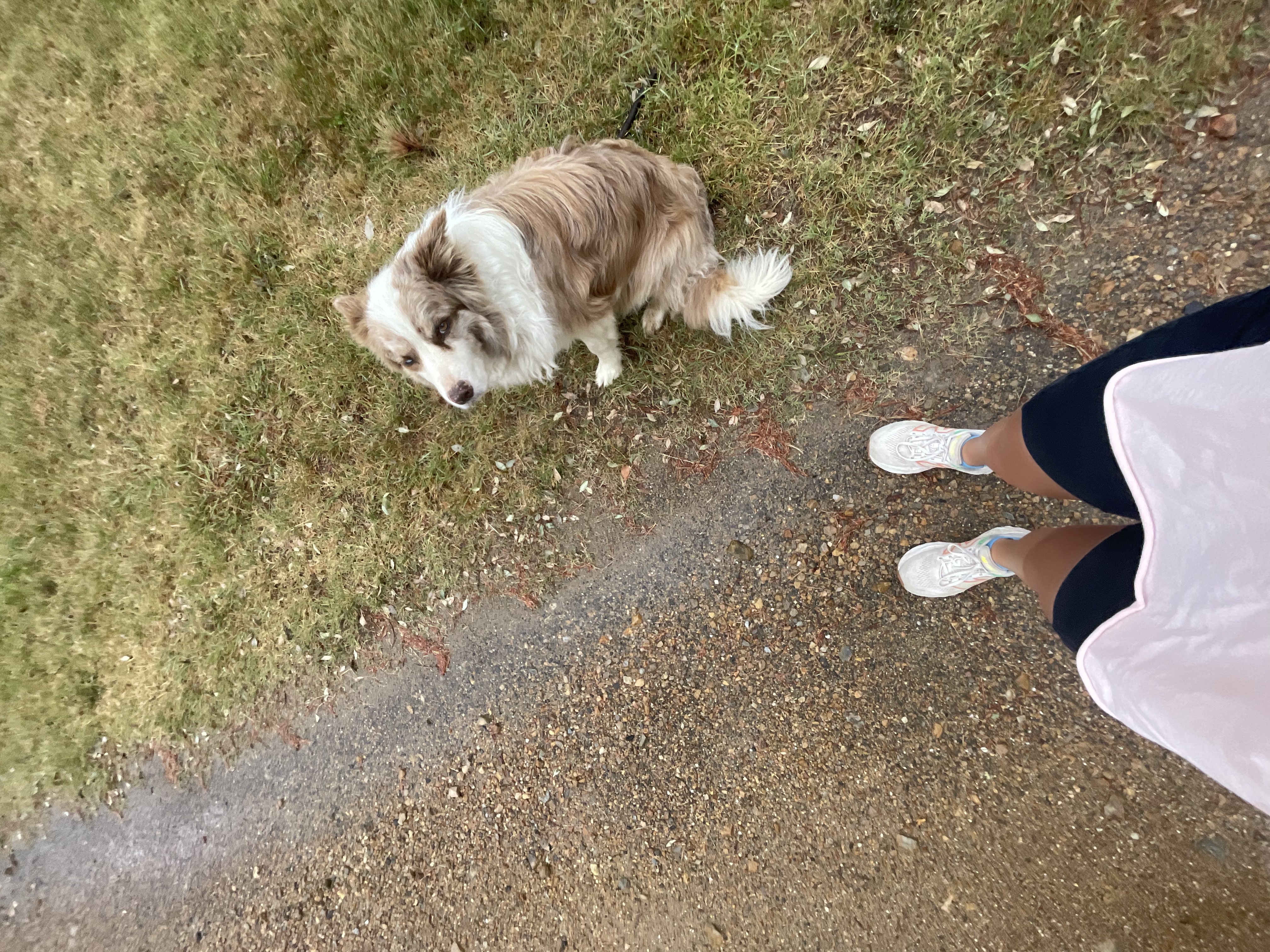 image-14