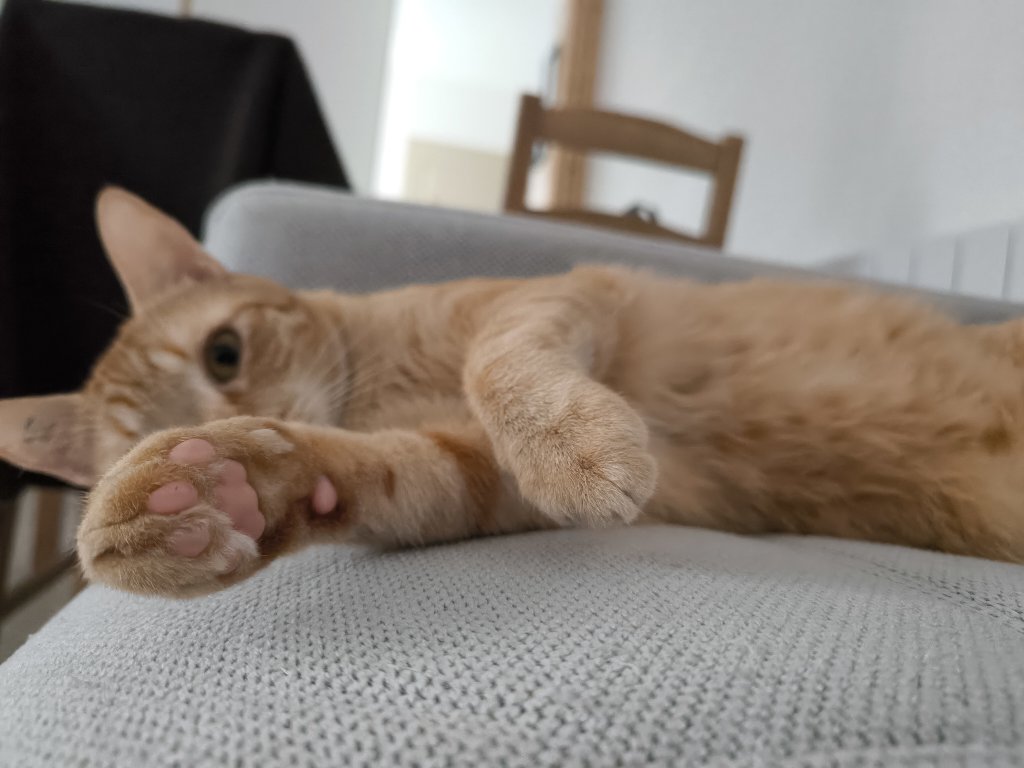 Twix