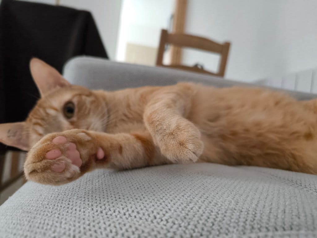 Twix