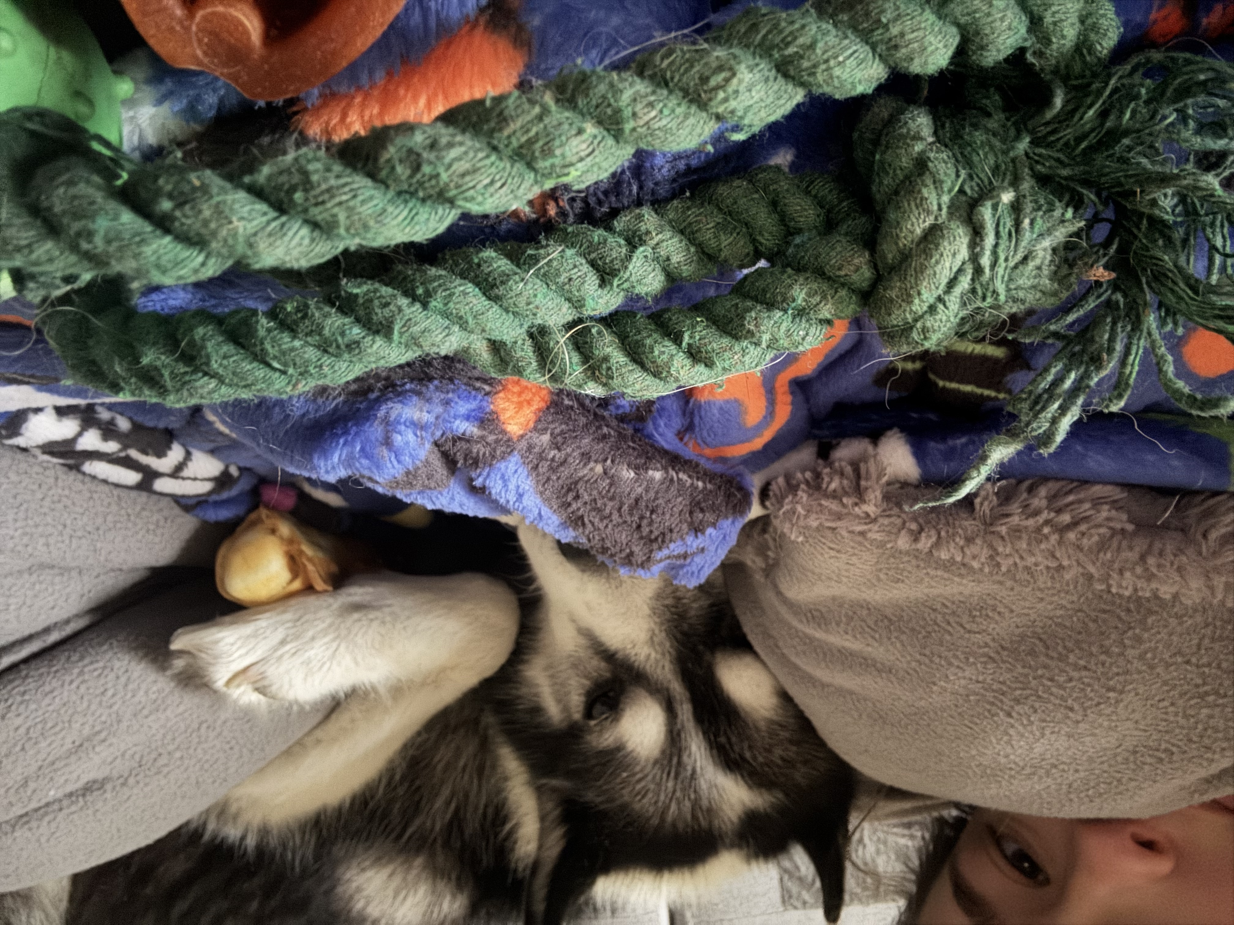 image-5
